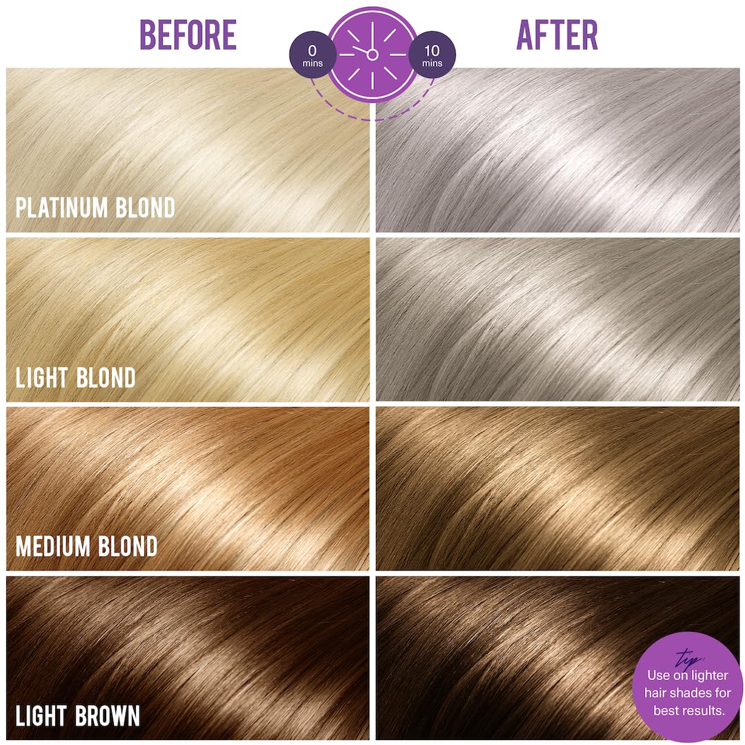 Purple Shampoo for Blonde, Silver & Grey Hair | Remove Yellow Tones & Condition Damaged Hair - Vegan, Paraben & Sulfate Free - 8 fl oz