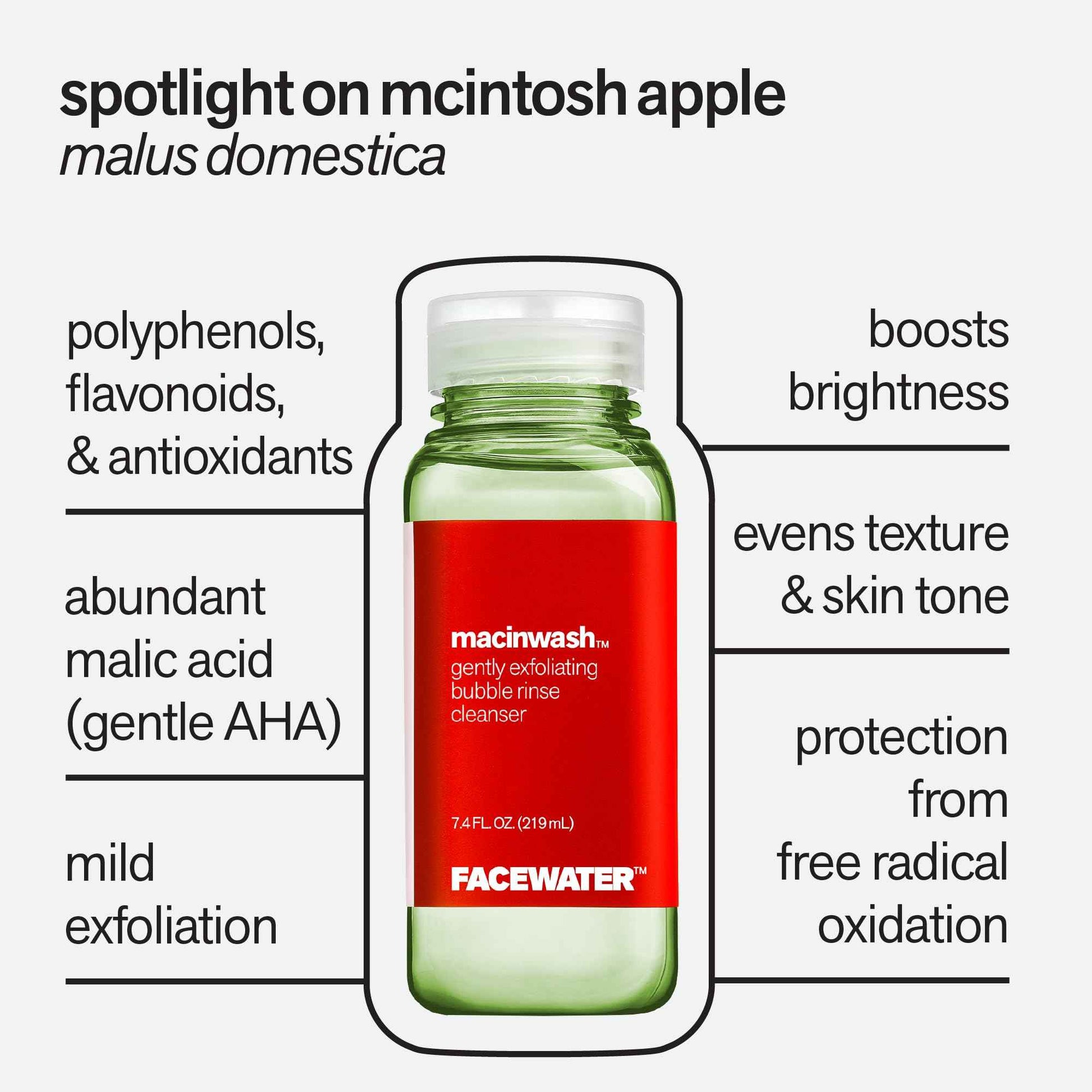 PLANT BEAUTY DISTILLERY Facewater Macinwash Gently Exfoliating Bubble Rinse Cleanser