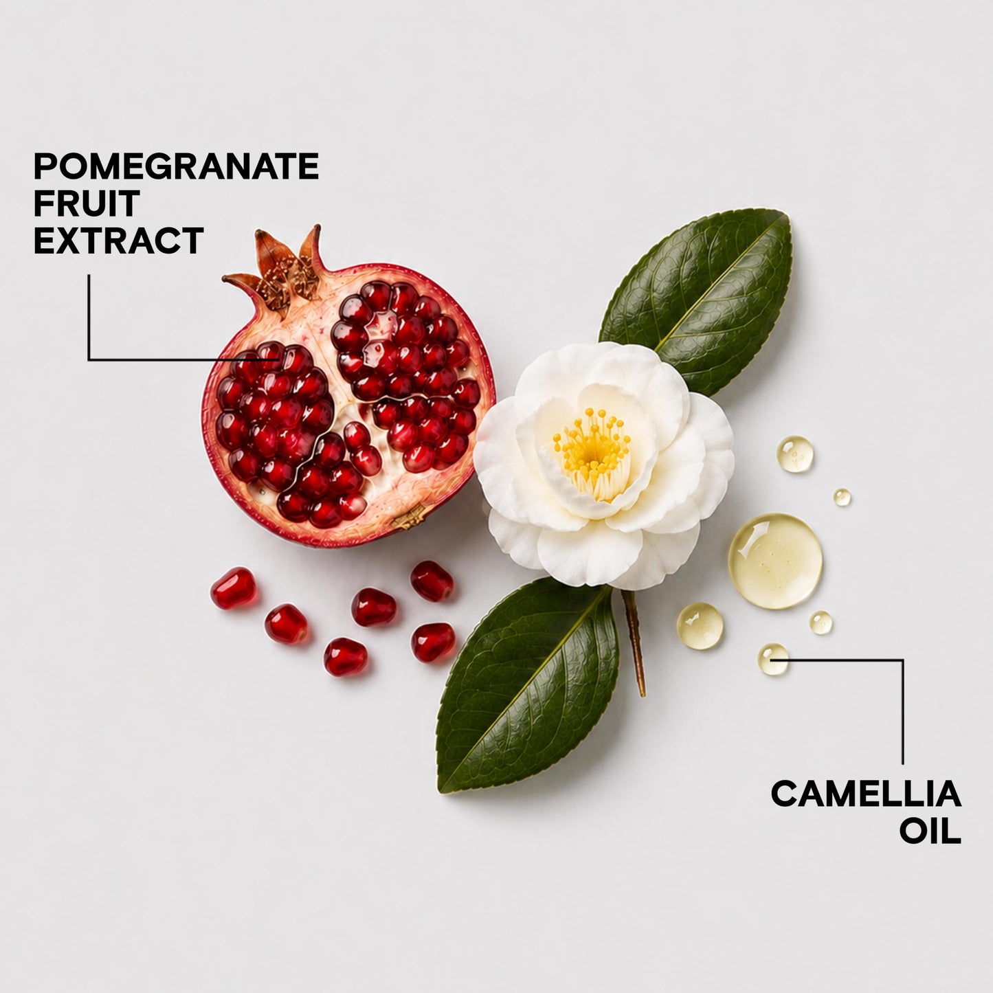 Colorful Anti-Fade Conditioner | For Color-Treated Hair | Preserve Hair Color & Vibrancy | Boost Shine & Reduce Breakage | Sulfate Free | With Camellia Oil & Pomegranate Extract | 8.5 Fl Oz