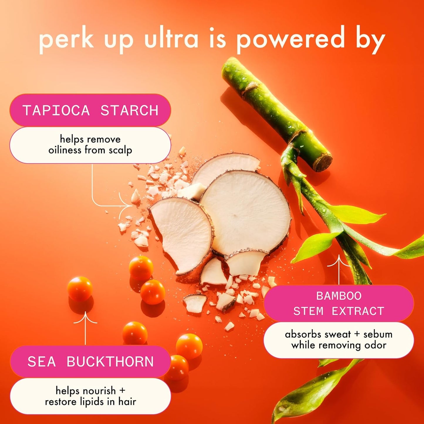 Amika Perk Up Dry Shampoo - Oil Control & Scalp Refreshing Formula | For All Hair Types, Extra Oily Scalps