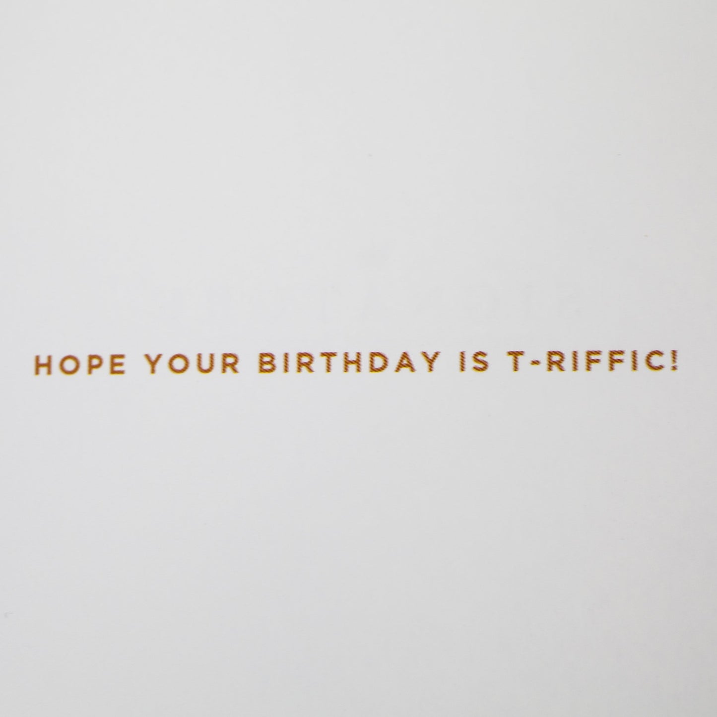 Hallmark Signature Birthday Card for Boy (T Rex)