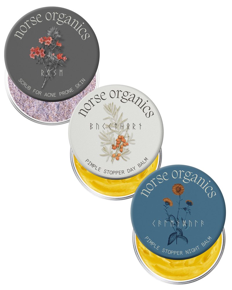 Norse Organics | The Complete System For Pimples | 3 Step System with Day Glow Balm, Acne Night Balm, Face Scrub | Natural Face Care with Arctic Herbs & Beeswax for Teens & Adults (3 pc kit)