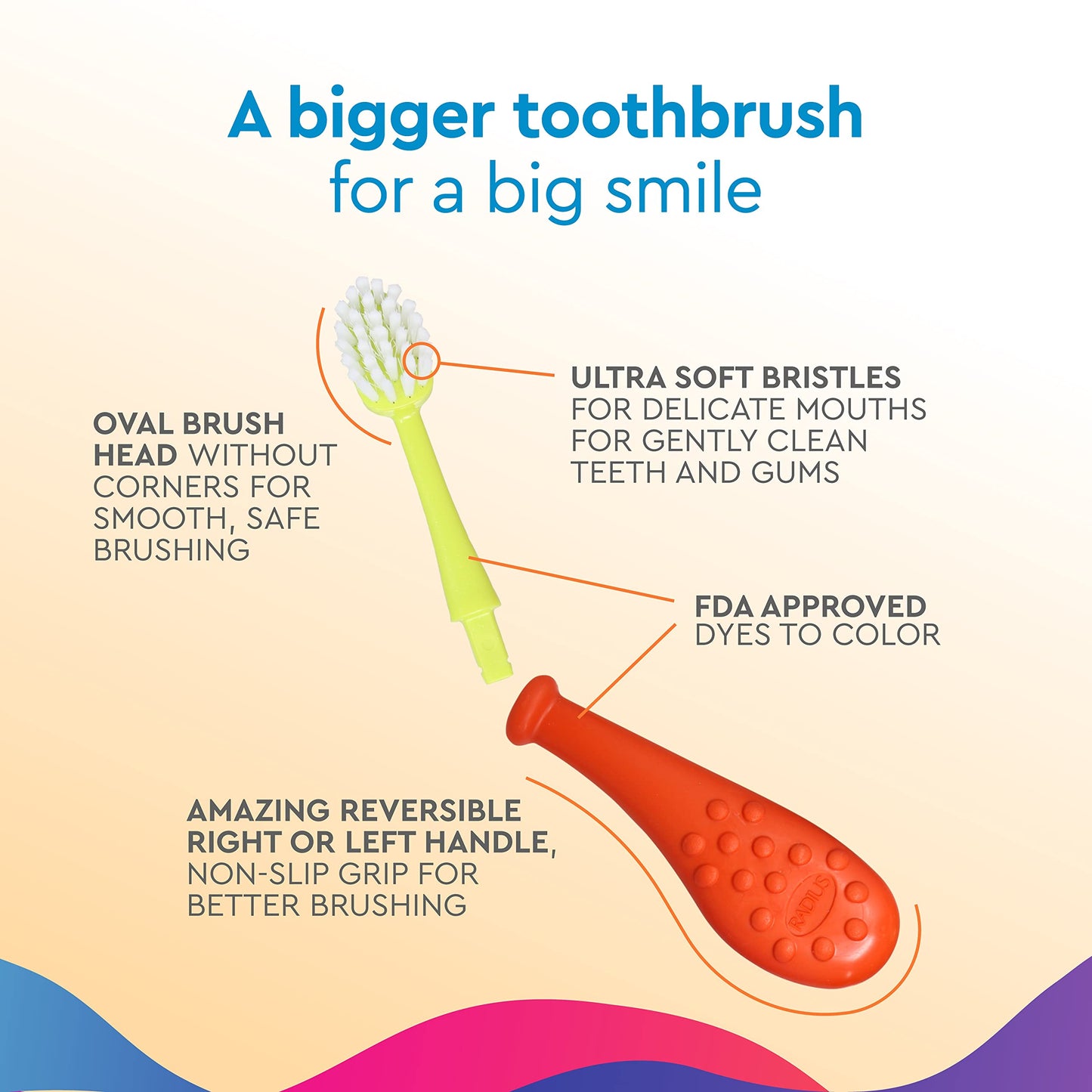 RADIUS Big Kidz Forever Brush Replaceable Head for Children, 6 Years and Up, BPA Free ADA Accepted for Growing Teeth and Gums, 2 Heads - Extra Soft