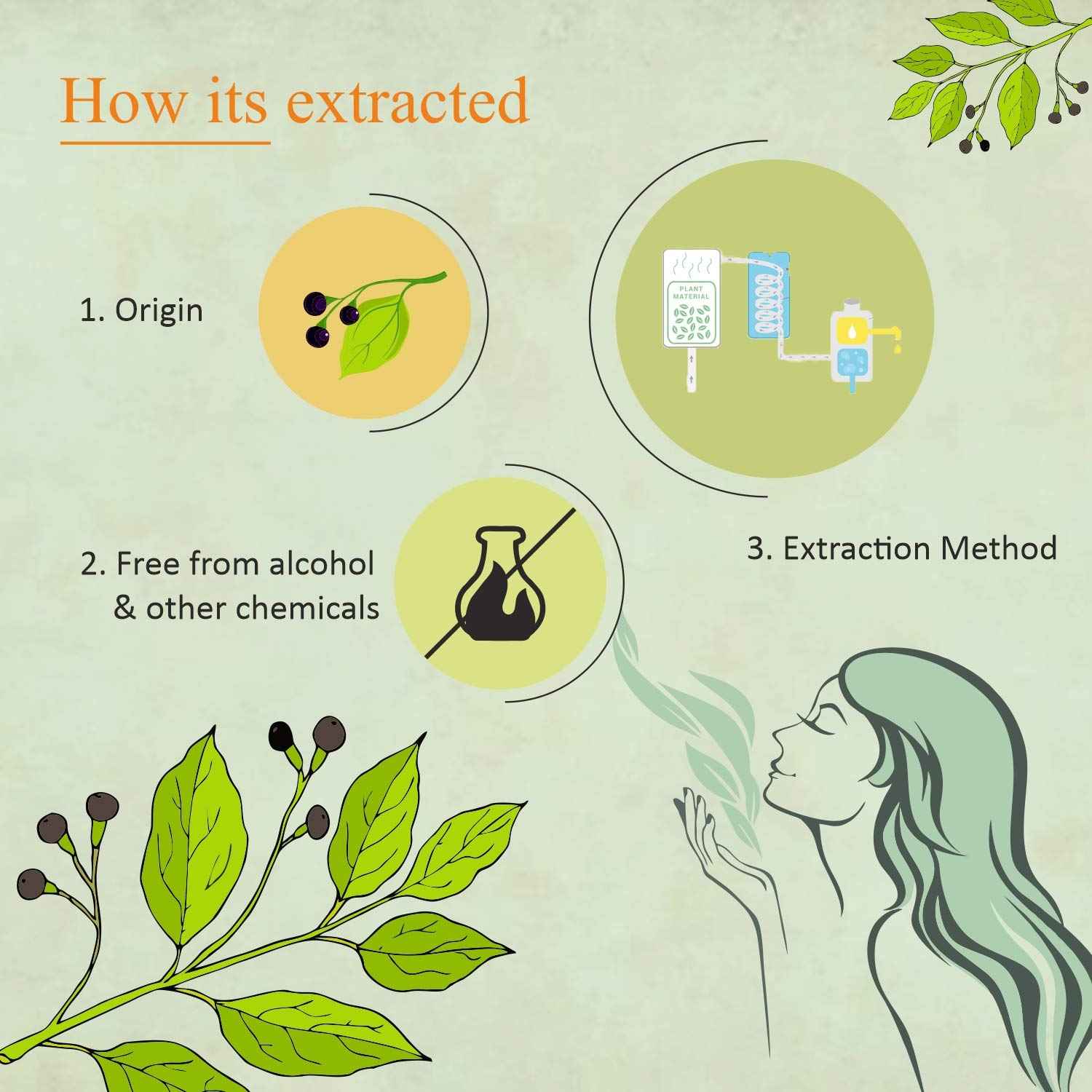 Florona Camphor Oil 100% Pure & Natural - 4 fl oz, for Hair, Face & Skin Care, Massage