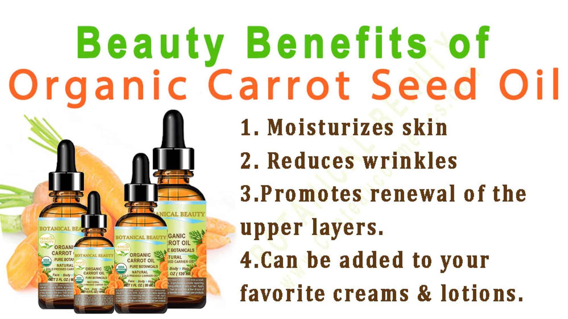 Botanical Beauty Organic CARROT SEED OIL 100% Pure VIRGIN UNREFINED Undiluted Cold Pressed Carrier Oil for Face, Skin, Body, Hair, Lip, Nails. Rich in Beta Carotene, Vitamin E (1 Fl Oz)