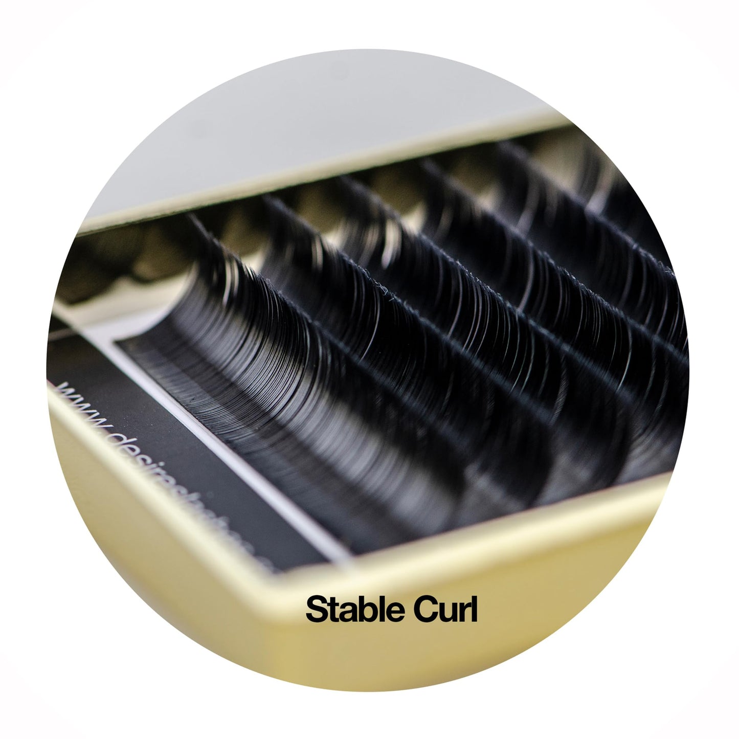 DESIRES LASHES By EMILYSTORES Ellipse Eyelashes 0.20mm Thickness C Curl Length 10mm Flat Lashes Extensions Individual Volume So-Soft For eyelash Extension(Ellipse,Flat 0.20,C,10mm)