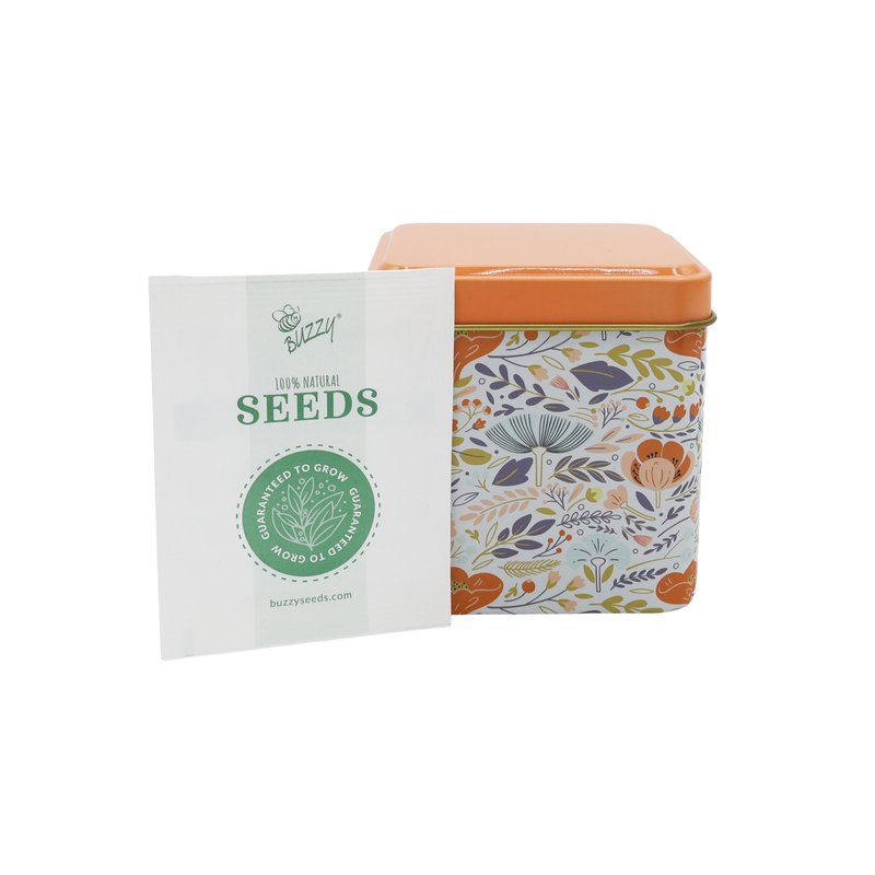 BUZZY Seeds Herbal Tea Garden Grow Kit – 3 Square Tin Planters with Lavender, Chamomile & Lemon Balm Seeds, Easy Indoor Herb Starter, Relaxing Gardening Gift Set