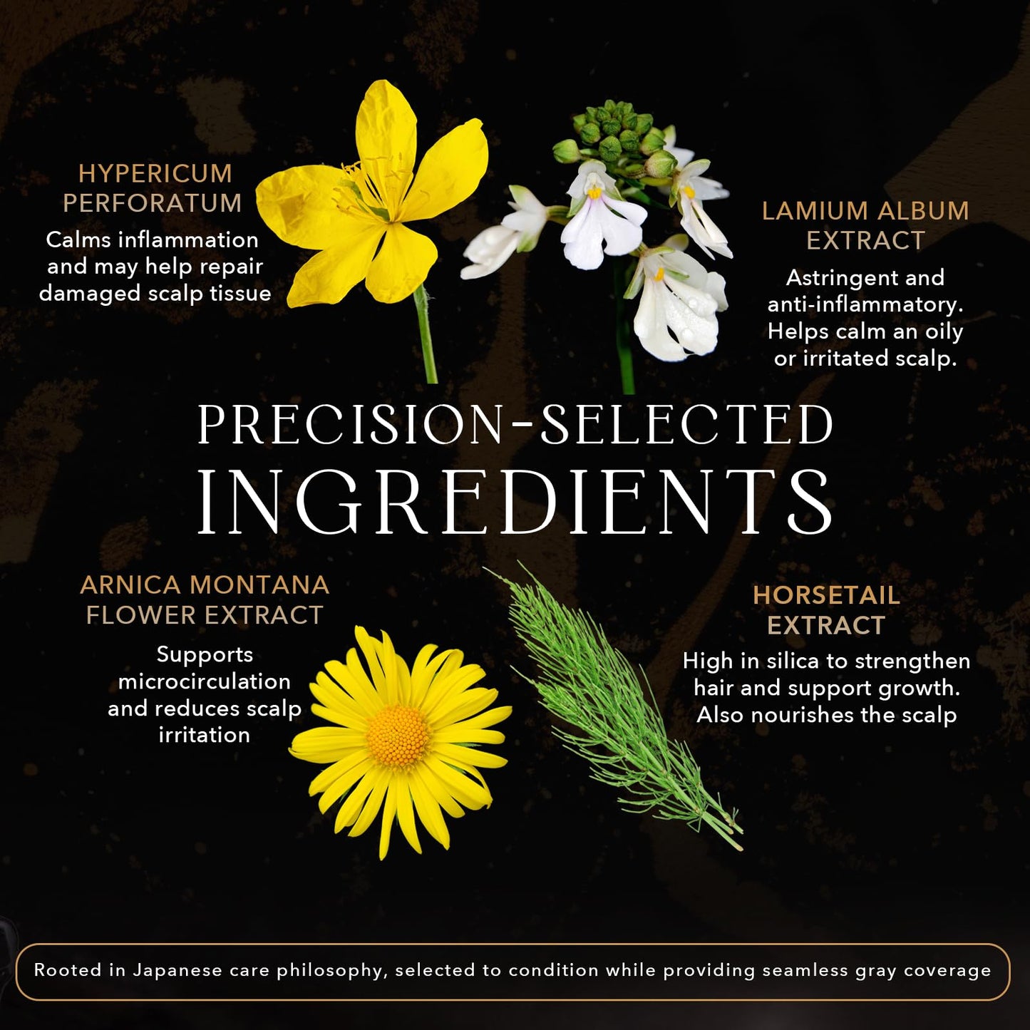 Kiwabi Color-Depositing Treatment for Gray Coverage–Subtle & Buildable Hair Gloss Color Benefit–Gradual, Semi Permanent Hair Color–Sulfate-Free, Ammonia-Free–31 Botanical Extracts,Light Brown