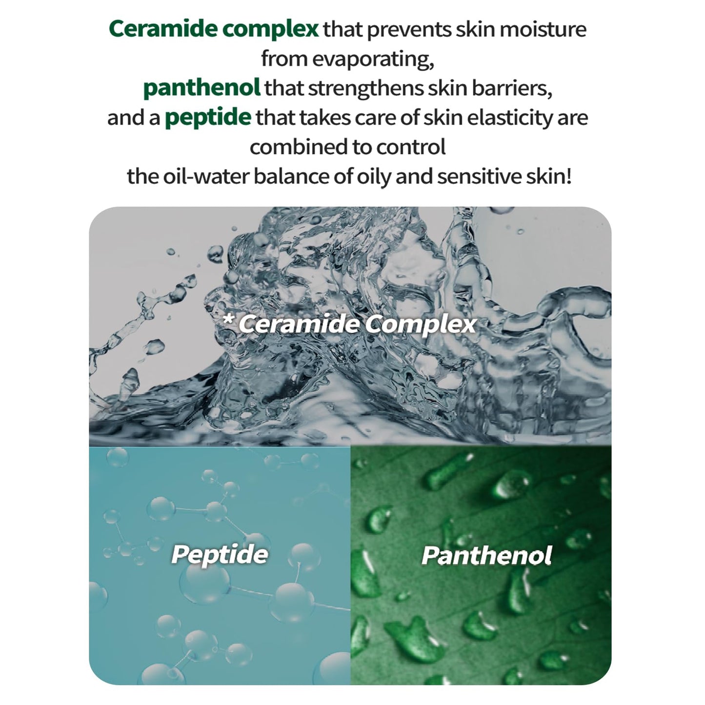 DERMASHARE FIRST CICA PEPTIDE BLEMISH ULTRA CLEAR AMPOULE First Cica Peptide Blemish Clear Ample Beauty Serum, Deer Peptide, Moisturizing, Aging Care, Hari, Large Capacity