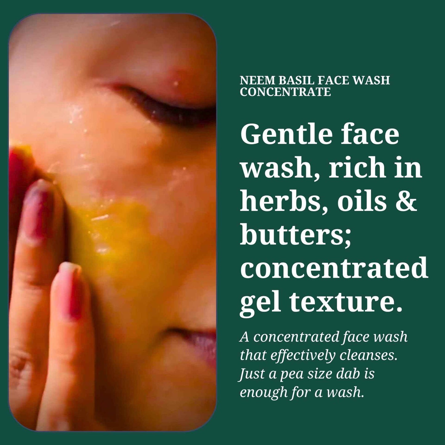 Rustic Art Neem Basil Face Wash Concentrate | Daily Essentials | Acne Prone & Oily Skin | Sulphate & Paraben Free | Vegan & Cruelty Free | For Women & Men | 4.4 Oz