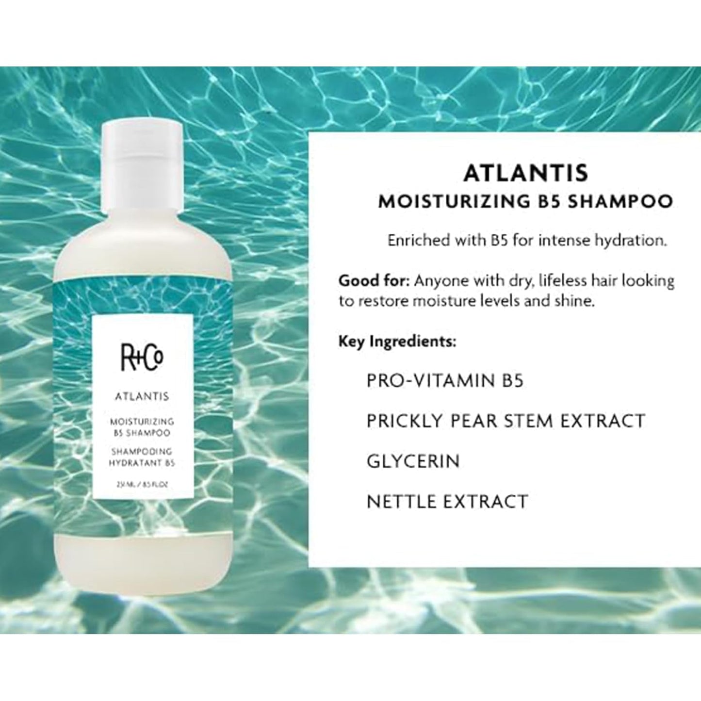 R+Co Atlantis Moisturizing B5 Shampoo - Hydrating & Strengthening for All Hair Types | Softens & Smooths Hair