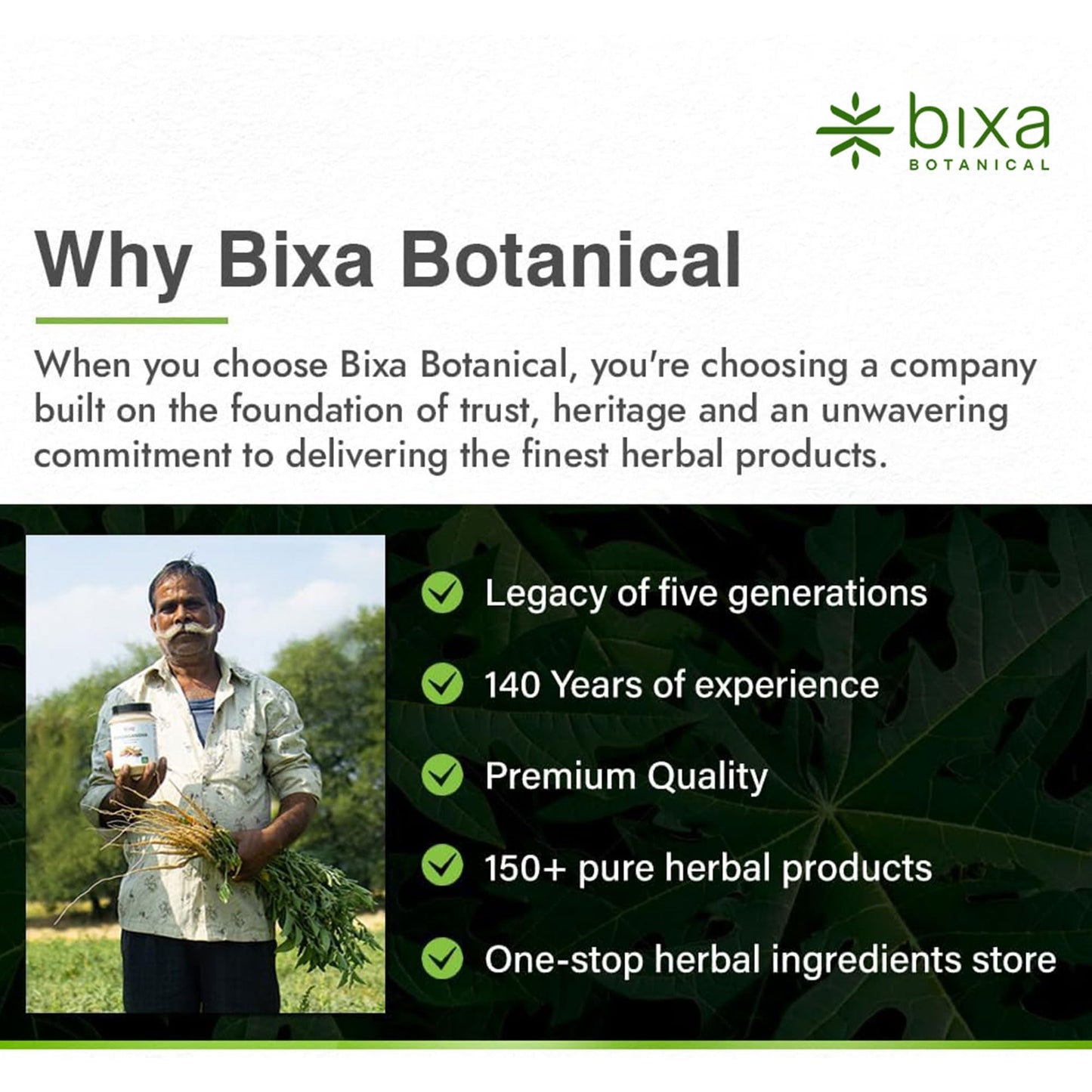 bixa BOTANICAL Punarnava Powder, Boerhavia Diffusa – Supports Kidney Detox and Liver Health – Steam Treated, Vegan, Non-GMO, 100% Pure Ayurvedic Herbal Supplement, 16 Oz