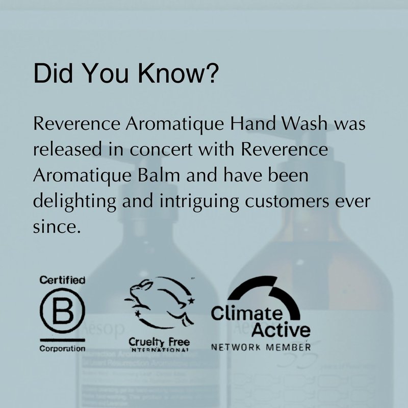 Aesop Reverence Aromatique Exfoliating Hand Wash | Exfoliating Hand Soap with Finely Milled Pumice | Gentle Cleansing & Skin-Smoothing Formula with Vetiver, Petitgrain & Bergamot | 500mL / 16.9 oz