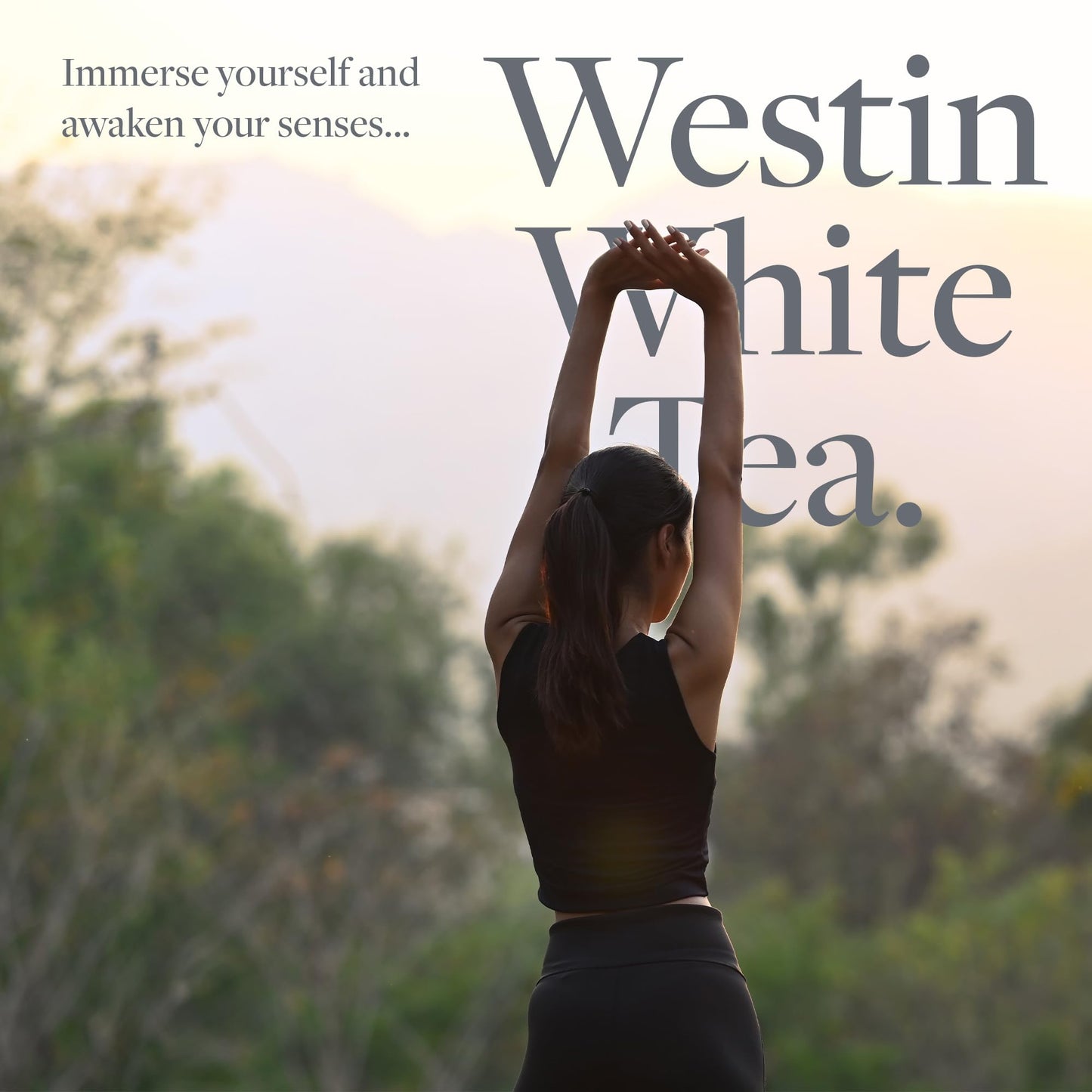 Westin White Tea Aloe Shampoo - Vitamin and Antioxidant-Packed Shampoo for All Hair Types - Signature White Tea Aloe Scent - 8 ounces