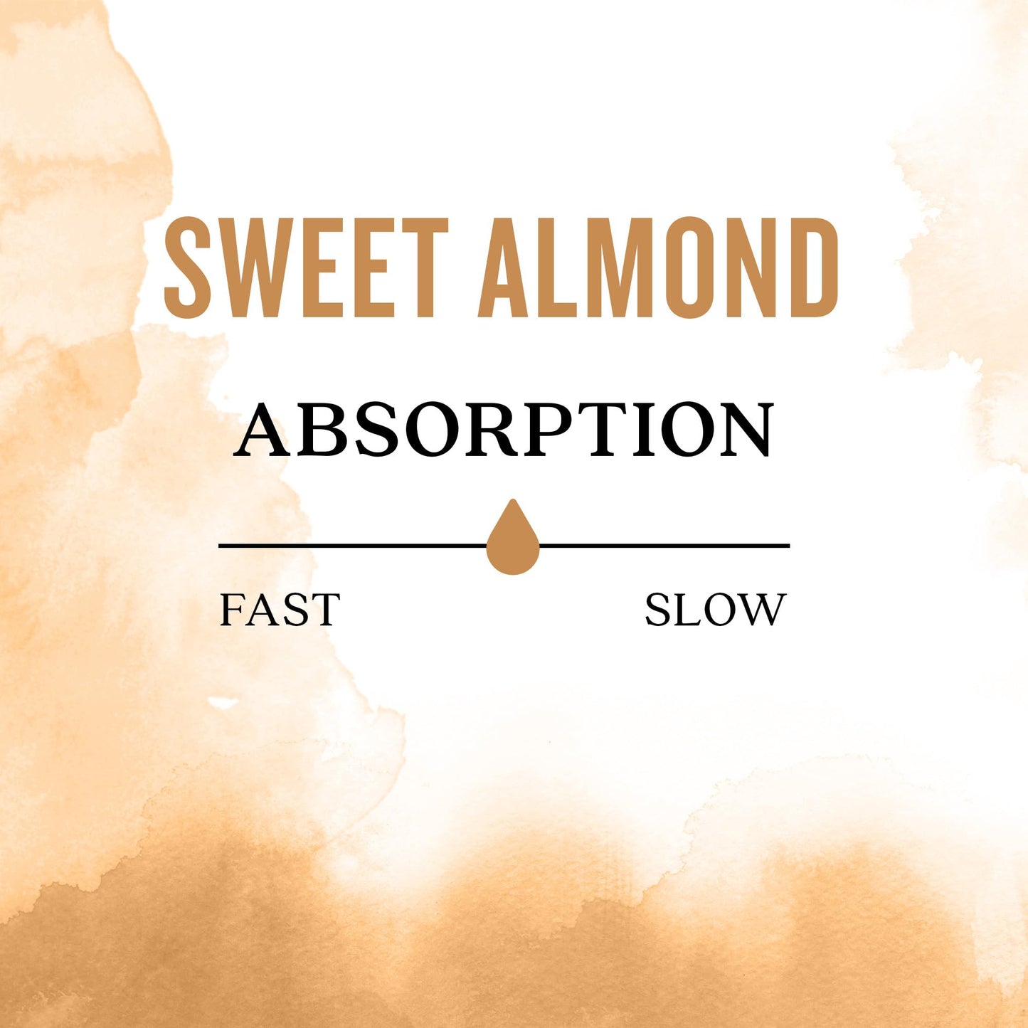 Aura Cacia Natural Skin Care Oil Sweet Almond | 16 Fl Oz (Pack of 2)