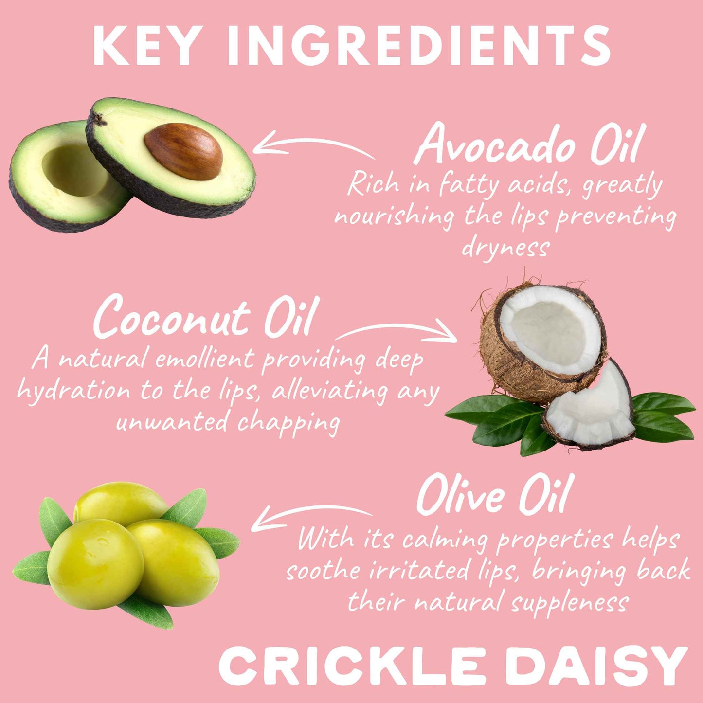 Crickle Daisy Lip Treat Balm - Hydrating & Nourishing Lip Balm with Avocado, Olive, and Coconut Oils - Softening Lip Moisturizer & Protection for Very Dry Lips - Sugar Blossom Scented, 0.7oz