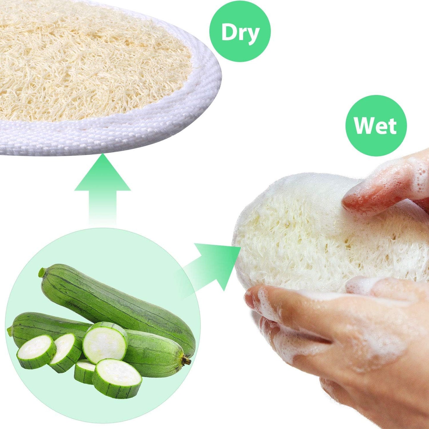 Loofah Pads - 24 Pcs Natural Exfoliating Mini Sponge Set for Bath & Shower | Ideal for Spa & Travel