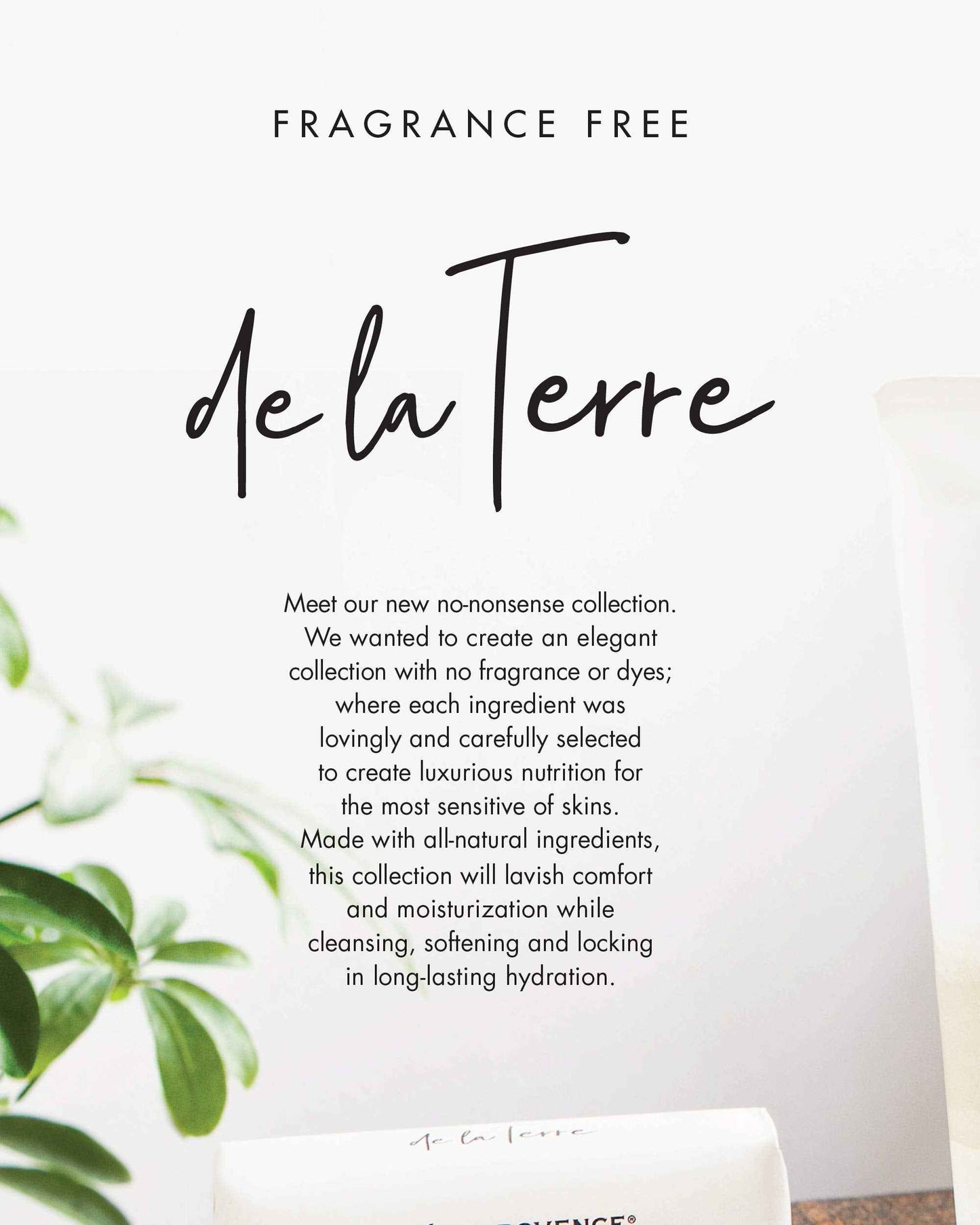 De La Terre All Natural Sensitive Skin Collection Fragrance Free, Moisturizing & Hydrating, Face Cream, 50 ML