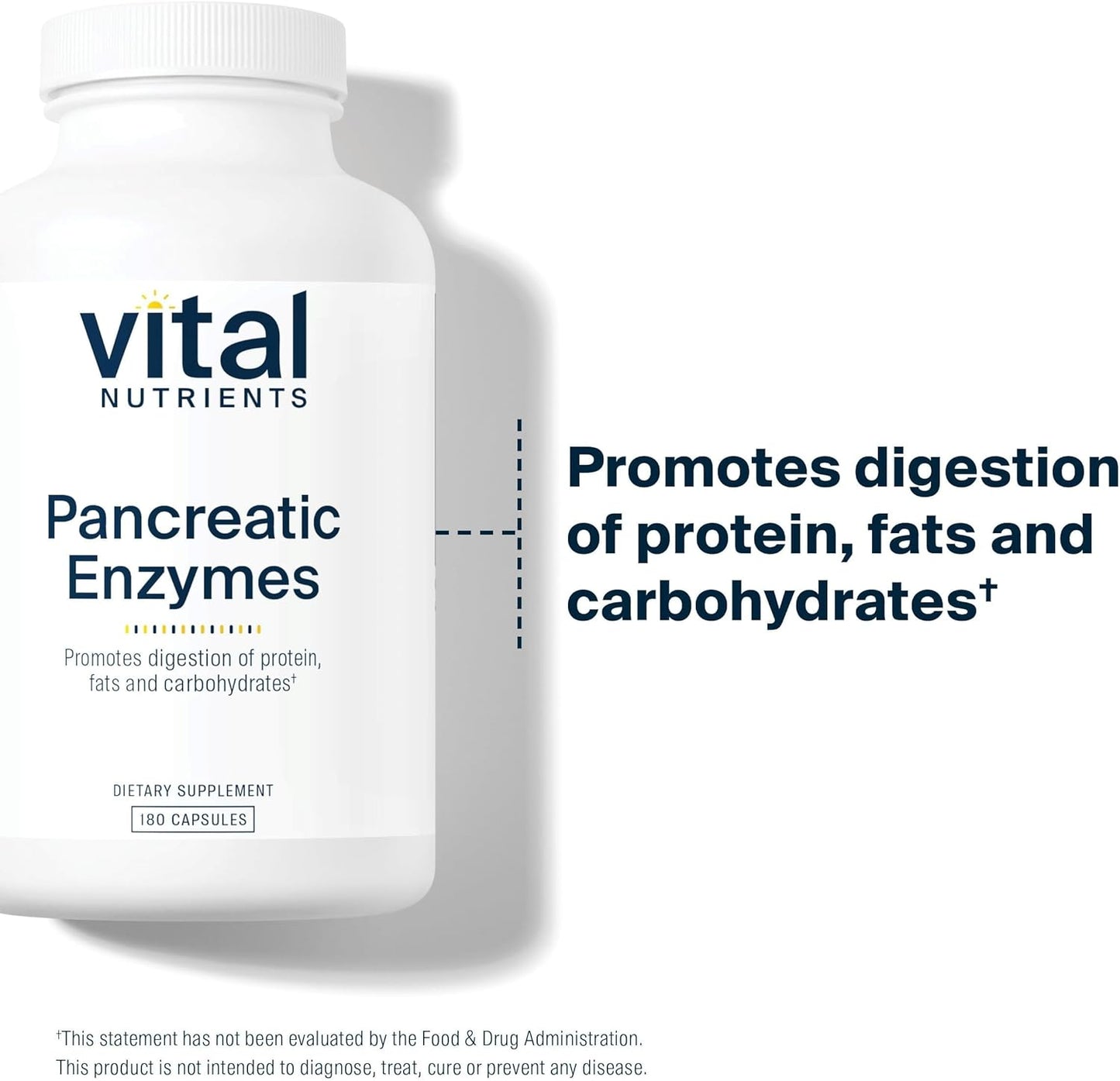 Pancreatic Enzymes 1000mg - Full Strength Digestive Supplement with Protease, Amylase & Lipase | Gluten, Dairy & Soy Free - 180 Capsules
