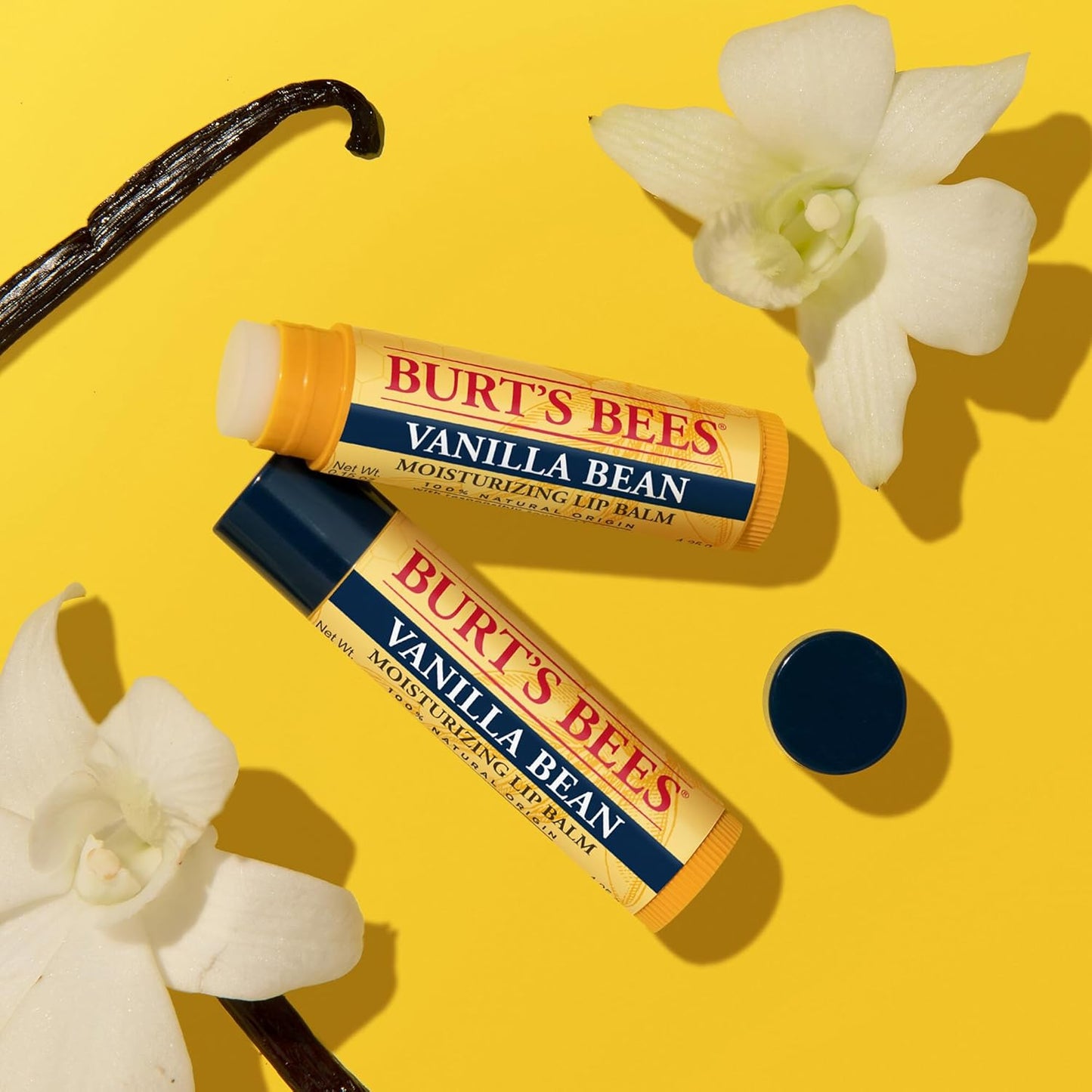 Burt's Bees Lip Balm - Vanilla Bean Lip Moisturizer with Natural Beeswax | 2 Tubes, 0.15 oz Each