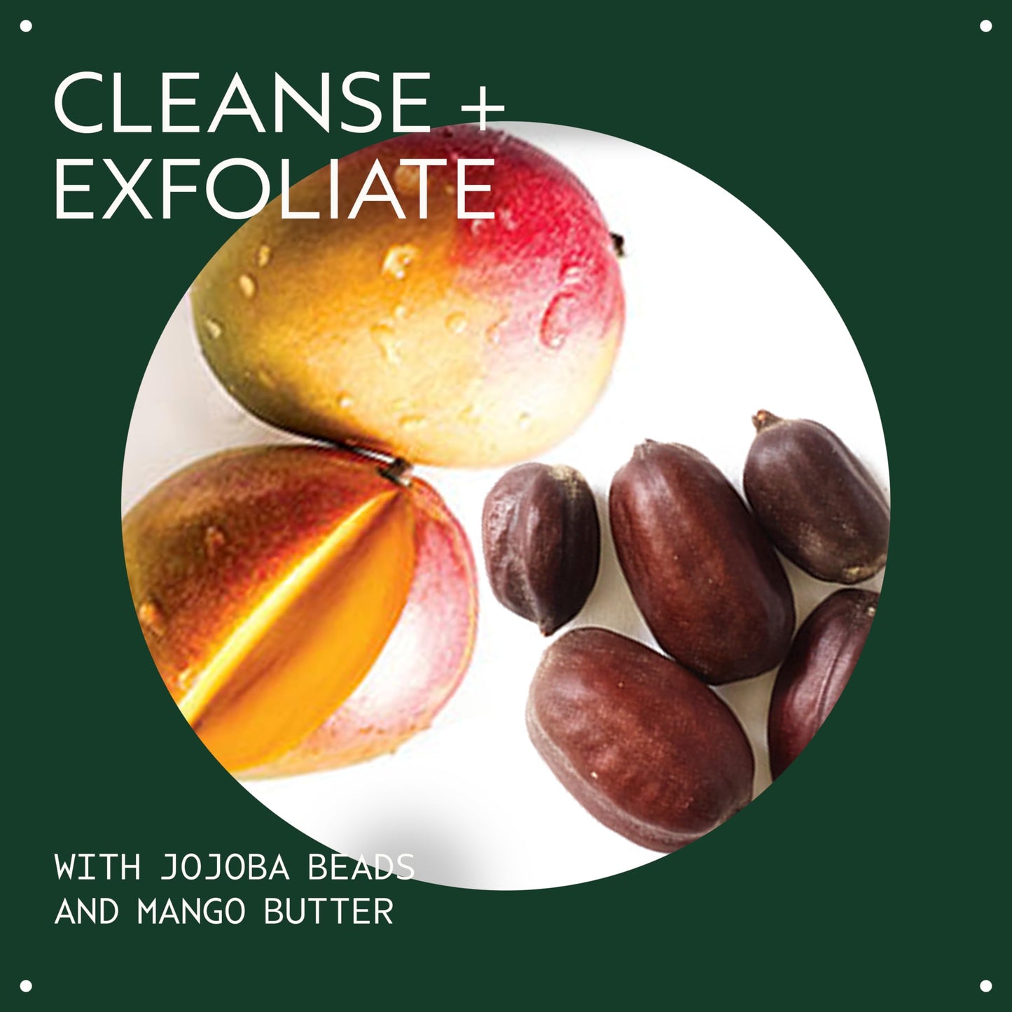 Aveda Botanical Kinetics Exfoliating Creme Cleanser | Increases Cell Turnover, Removes Skin-Dulling Surface Cells | with Mango Butter, 5 Fl Oz