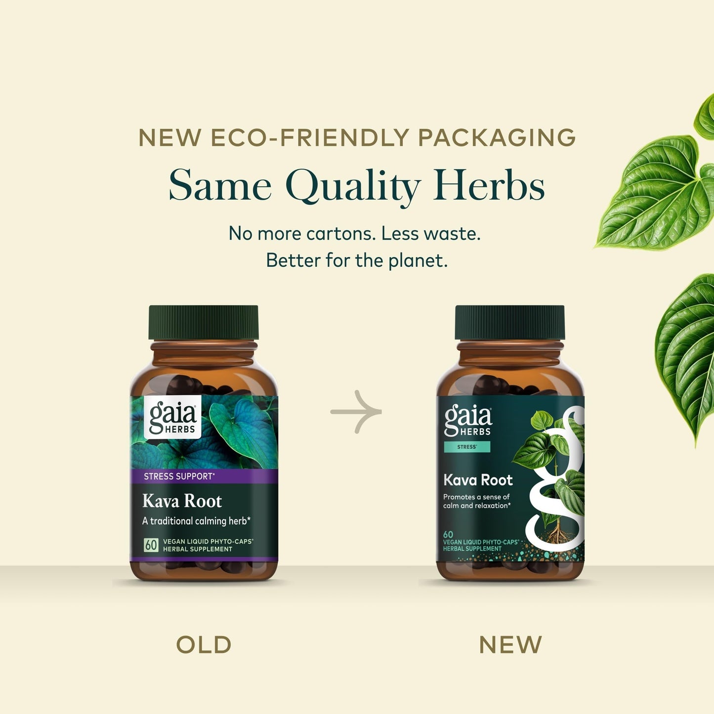 Gaia Herbs Kava Root - Helps Sustain a Sense of Calm & Relaxation During Times of Stress*- Made with Noble Kava Cultivars - 60 Vegan Liquid Phyto-Caps (60 Servings)