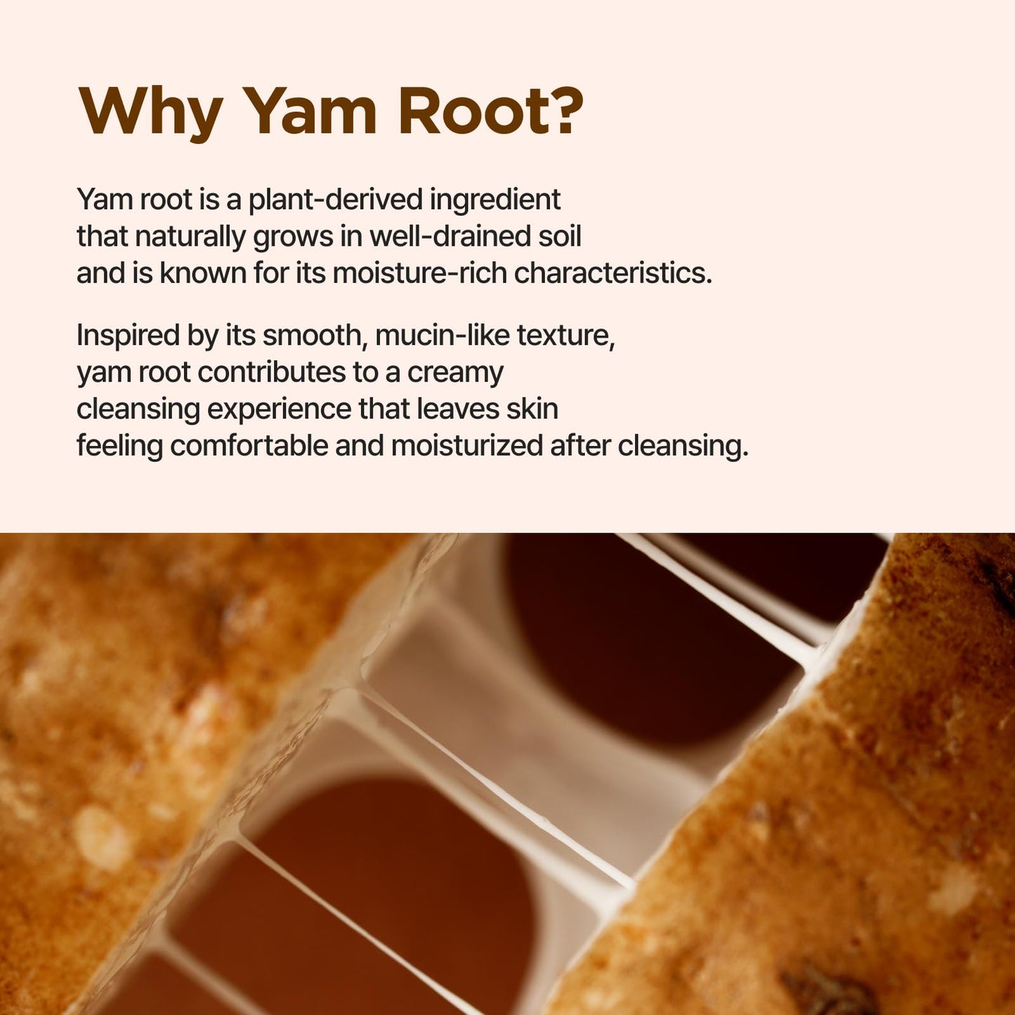 IsNtree Yam Root Vegan Milk Cleanser | Korean Facial Cleanser with Yam Root | Hydrating Milky Cleanser for Sensitive Skin, Gentle & Creamy, 7.43 fl oz
