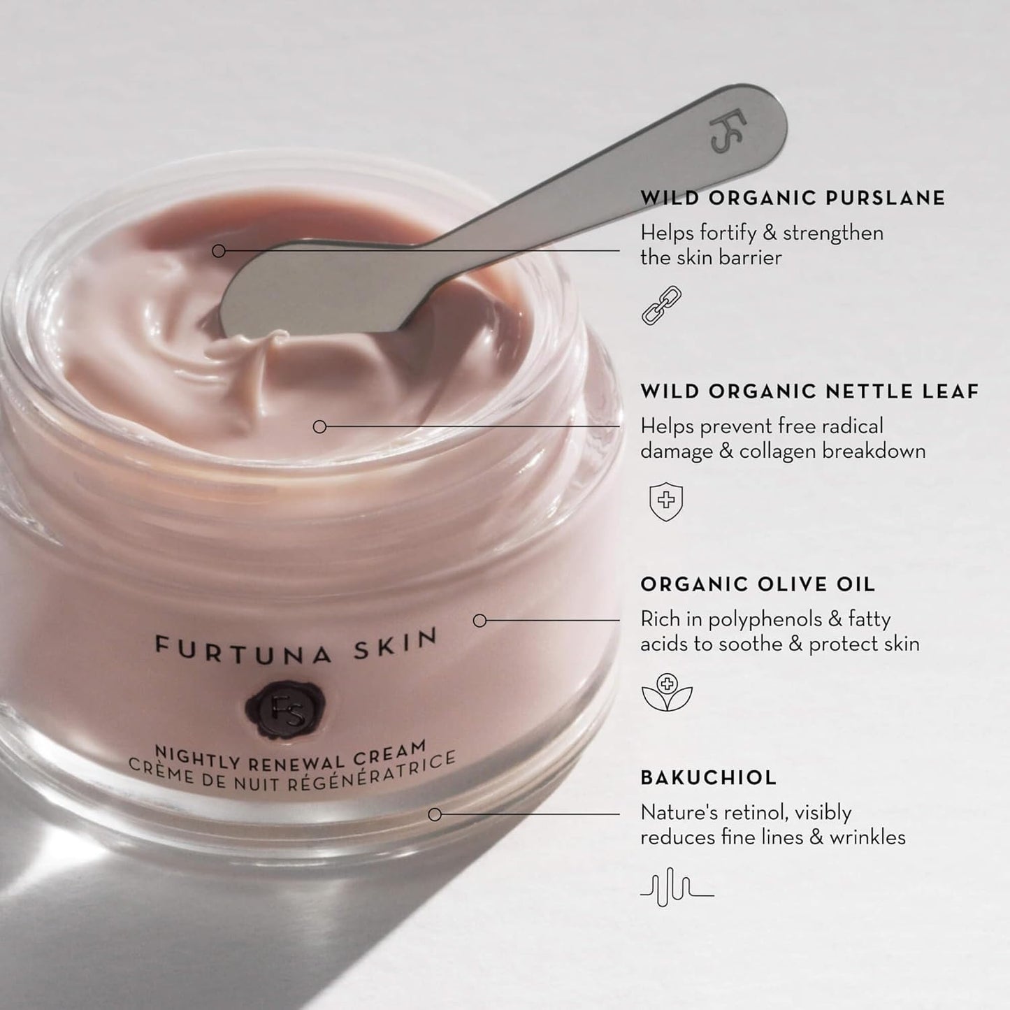 Furtuna Skin Nightly Renewal Cream - Vegan Overnight Moisturizer with Bakuchiol & Ceramide | Intensive Repair 1.7 oz