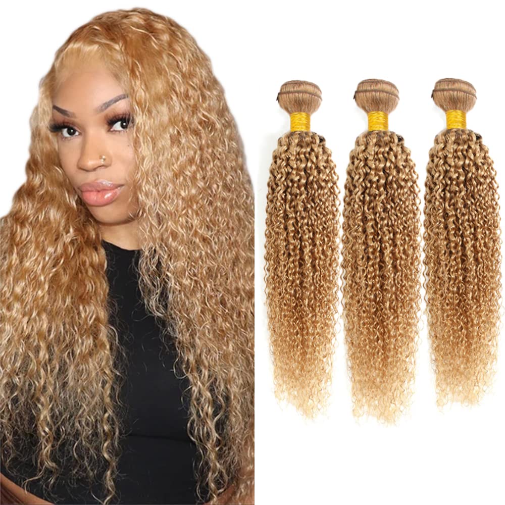 Color 27 Curly Wave Bundle Honey Blonde Human Hair 3 Bundles Kinky Curly Brazilian 100% Unprocessed Virgin Extensions Double Weft Bundle 8 10 12 Inch
