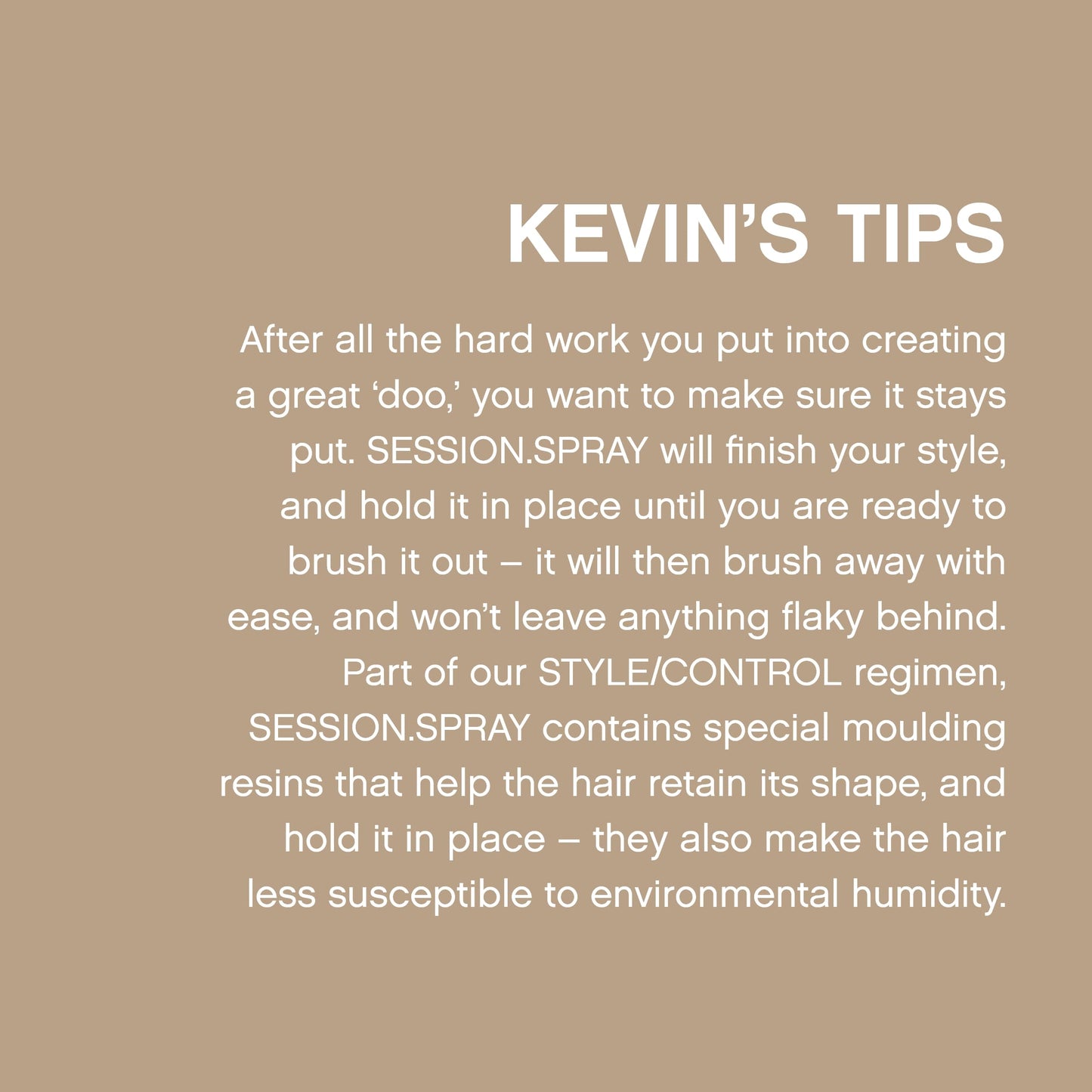 KEVIN.MURPHY Session Strong Hold Finishing Spray, 11.4 Fl Oz