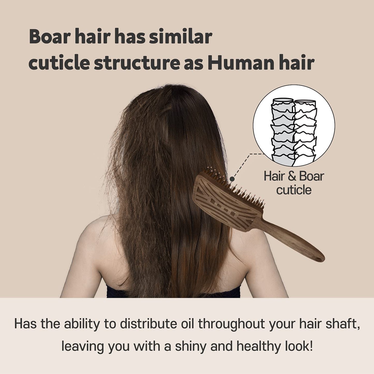 Yao Boar Bristle Hair Brush - Ventilated Thick & Curly Hair Detangler for Women & Kids, Shiny & Textured Hair