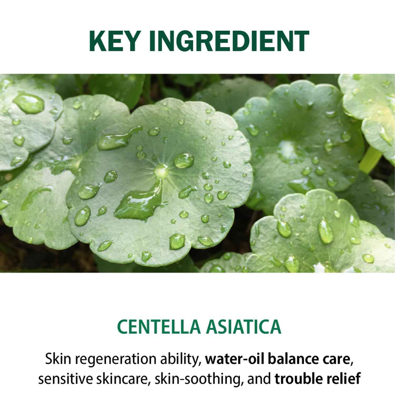 DEARBOO SKIN Balancing Centella Cica Zero Facial Emulsion 5.07 fl.oz(150ml) | AHA BHA PHA and Teatree | Soothing, Calming, Moisturizing for Sensitive Skin | Daily Korean Skincare