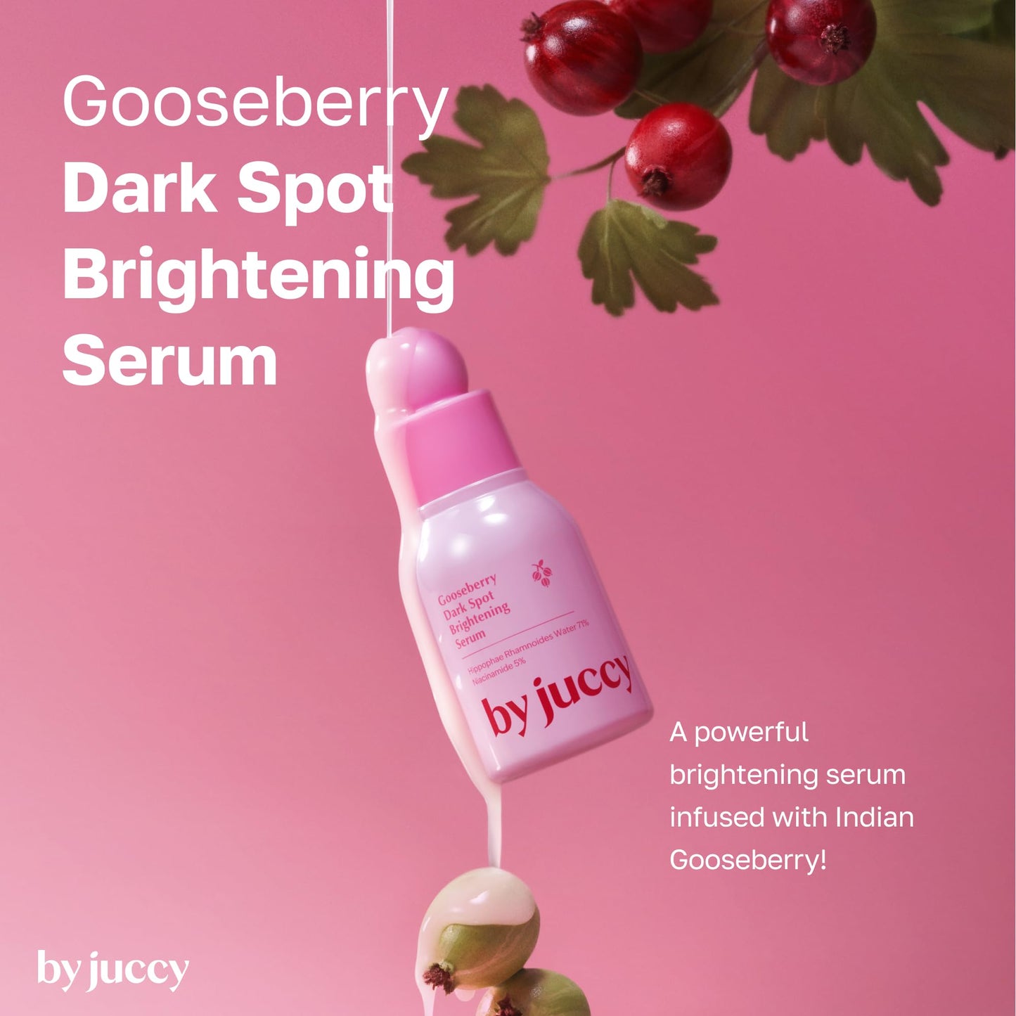 By Juccy Gooseberry Dark Spot Brightening SerumㅣSoothes Sensitive Skin & Strengthens Skin BarrierㅣIndian Gooseberry, Apha-Arbutin, Niacinamide | By Juicy | 1.01 Fl. oz (30ml) |