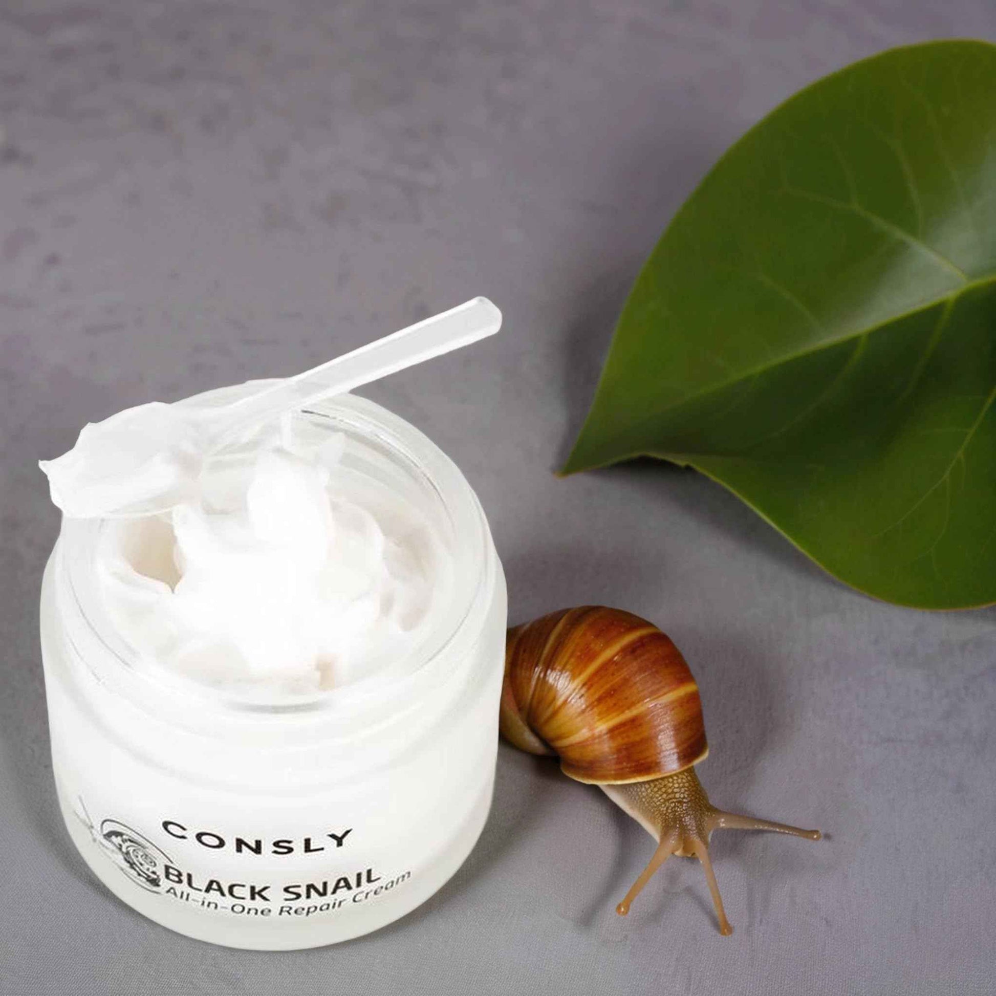 CONSLY_Black Snail All-In-One Repair Cream | Regenerating Moisturizer | Reduces Wrinkles | Improves Texture | Deeply Hydrating | For All Skin Types | 70ml