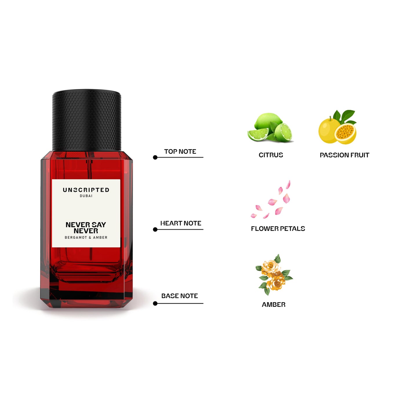 Unscripted Never Say Never - Bold, Long-Lasting Perfume for Men and Women - Floral-Fruity Women Perfume with Notes of Amber and Citrus - 1.7 oz