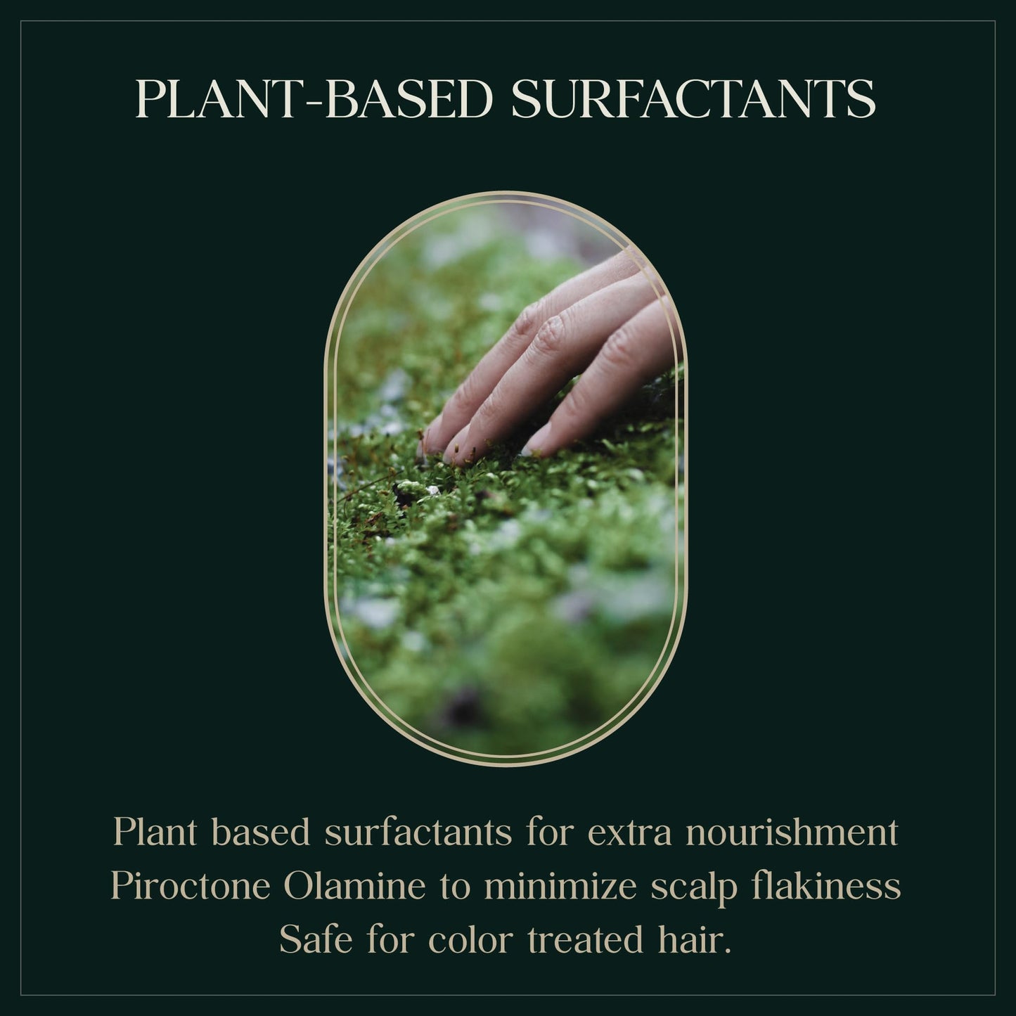 PUREBBLE Nourishing Botanic Cellcare Shampoo 500ml, 16.90 fl oz | Sulfate-Free, Paraben-Free and Color-Safe | pH Balancing