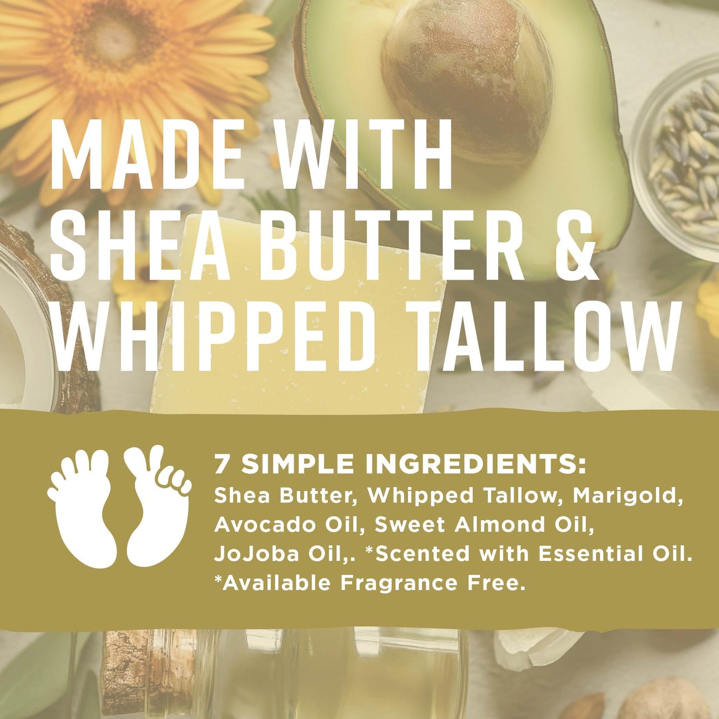 Pilotfish After Sun Body Butter Moisturizing Cream - Shea Butter & Whipped Tallow, Simple Ingredients, After Sun Lotion, Body Lotion, Coconut Oil, After Sun Care, After Sun Skin Care, 3.8oz