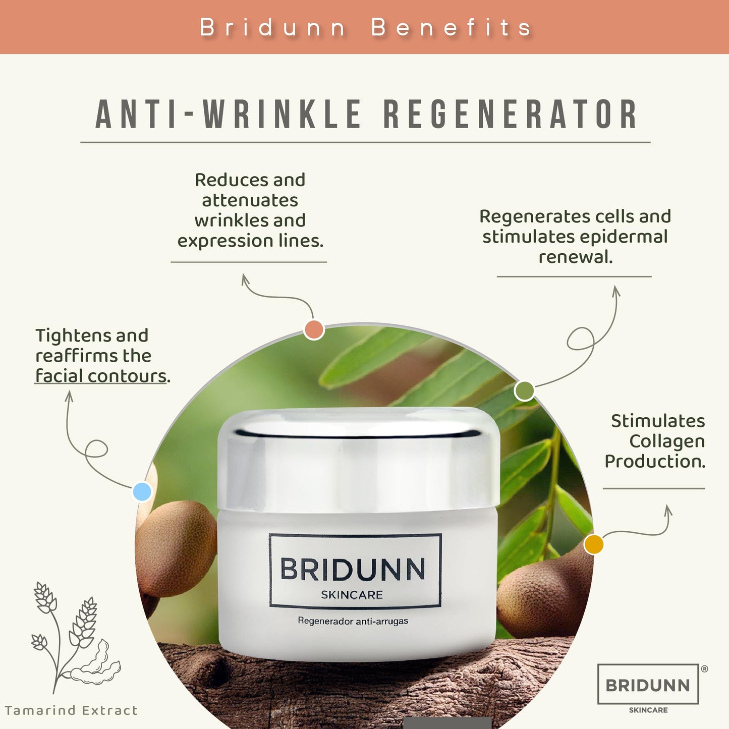BRIDUNN SKINCARE Anti Wrinkle & Face Tightening Regenerating Face Cream with Natural Ingredients