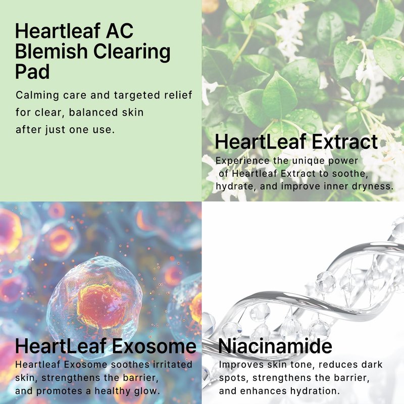C’NEW LAB Heartleaf AC Blemish Clearing Pad (70 pads) | Blackhead & Exfoliating Facial Pads for Smooth Skin | Heartleaf Extract, Heartleaf Exosome, Allantoin, PHA, Korean Skin Care
