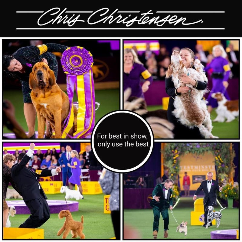 Chris Christensen Colestral Chalk Helper - Professional Conditioning Crème for Dogs, Restores Moisture | 16 oz Jar