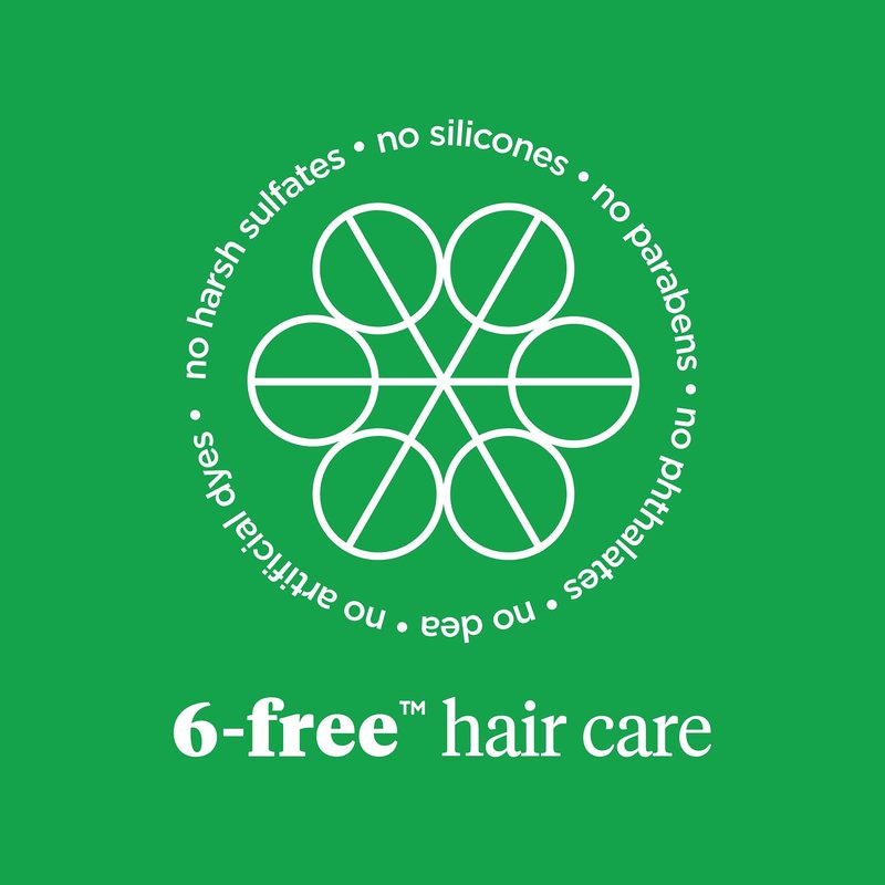 Briogeo Superfoods Avocado + Kiwi Mega Moisture Hair Mask | Protein-Free Deep Conditioning Treatment for Dry Hair| Silicone-Free | Vegan & Cruelty-Free | 8 fl oz
