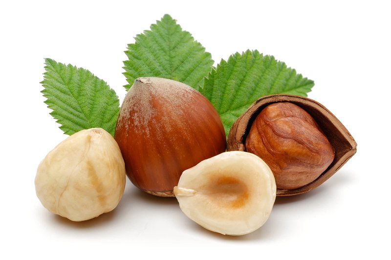 Hazelnut Oil Pure Unrefined Cold Pressed for Hair Skin Hydrating Moisturizing by COCOJOJO – 32 Ounce