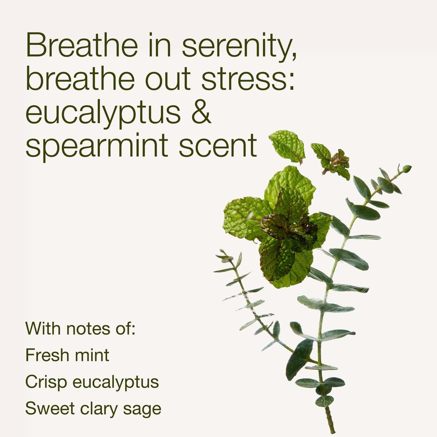 Bath & Body Works Eucalyptus Mint Hand Sanitizer with Pump - Conditioning Hand Sanitizer for Soft, Clean Hands - Crisp, Cool Fragrance - Vitamin E & Aloe-Infused - Thoughtful Gift - 2-Pack