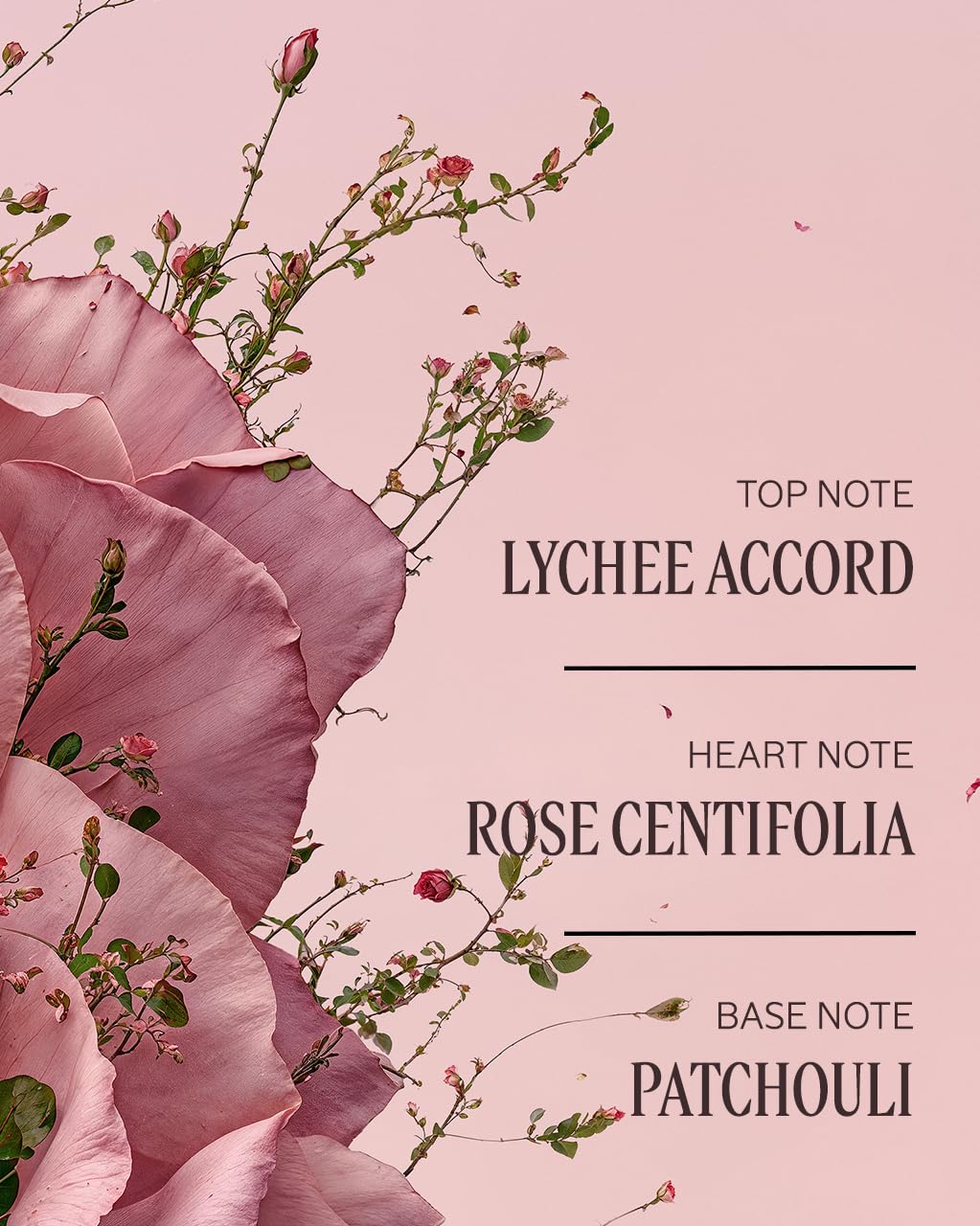 L'Occitane L'Occitane Rose Body Lotion: Moisturizing, Romantic Rose Fragrance, With Shea Butter, Softening, Made in France