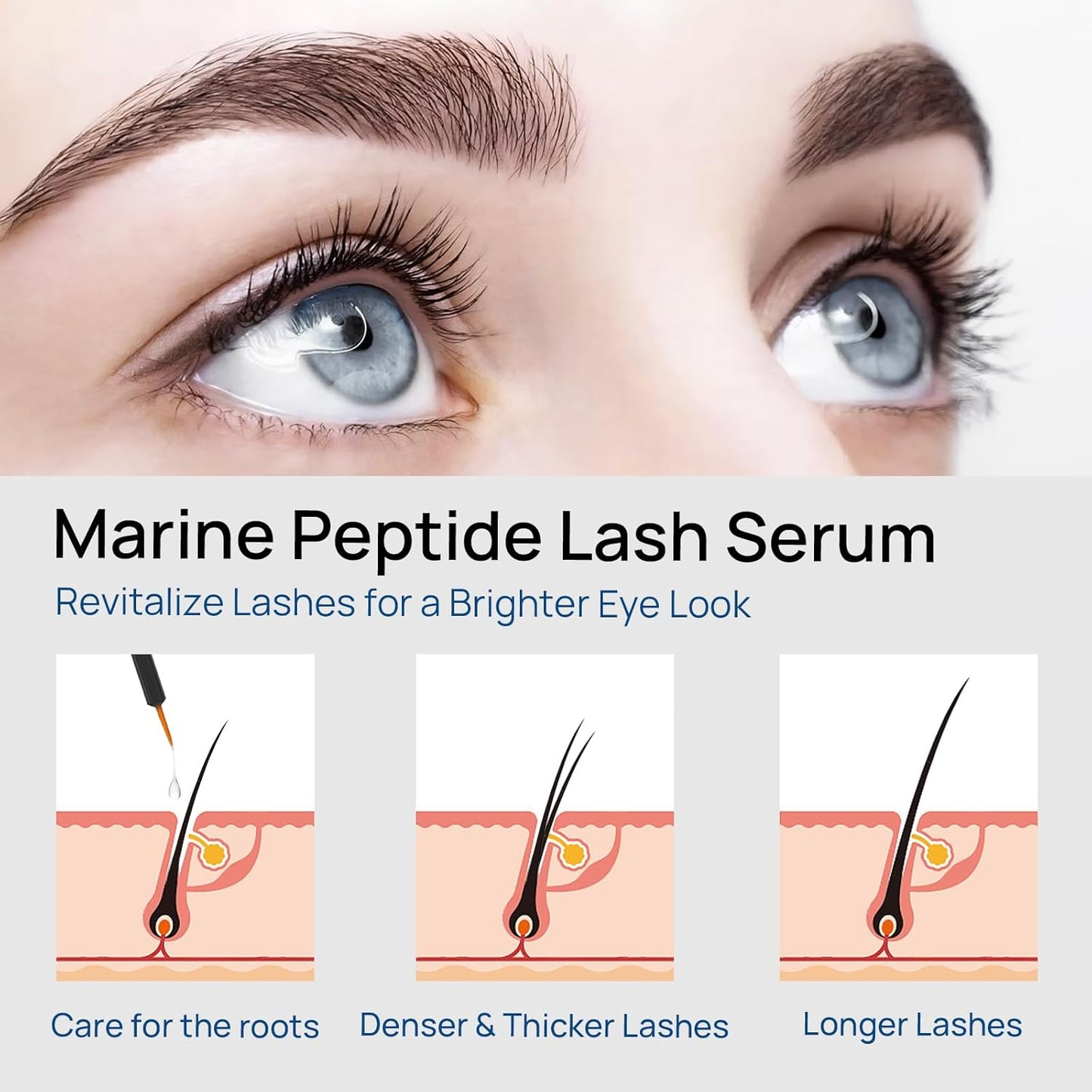 Lash Serum for Thicker, Longer Eyelashes & Brows - Vegan, Nourishing Formula | 5ml