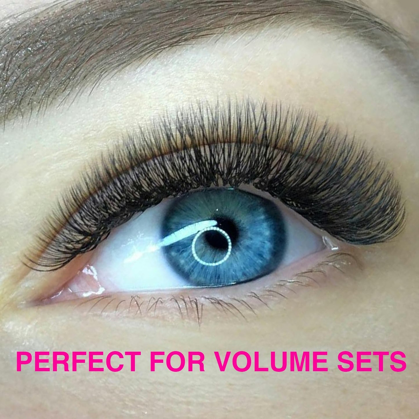 TDANCE Narrow Premade Lash Fans 1000 Fans Pre Made Fans Lash Extensions Darker & Denser Premade Fans Eyelash Extensions Volume Lash Extension(16D-0.05-C-8-15mm)