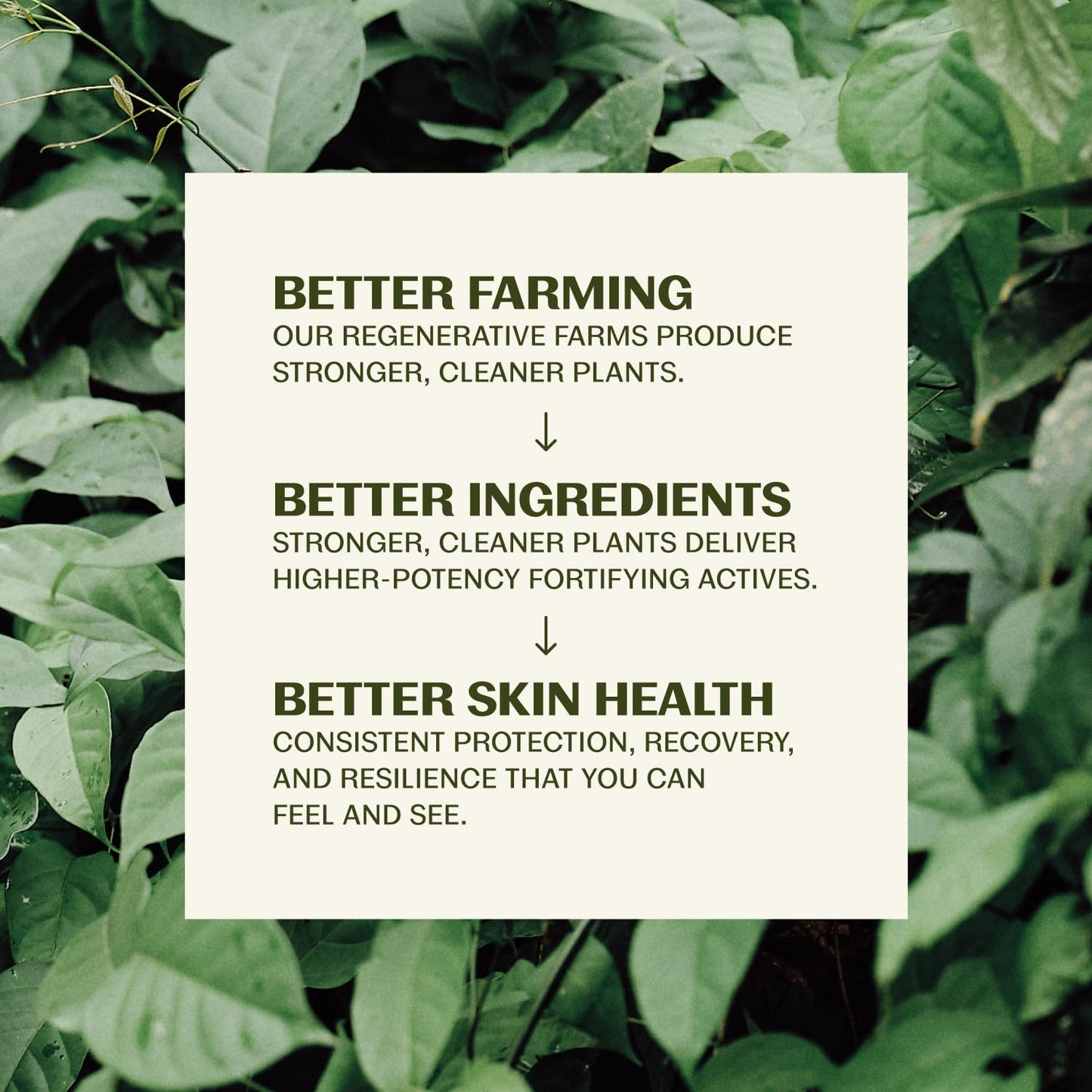 Bakuchiol Serum for Face - Healthier Retinol Alternative with Hyaluronic Acid | Collagen Boosting, Vegan Formula for Brighter, Firmer Skin