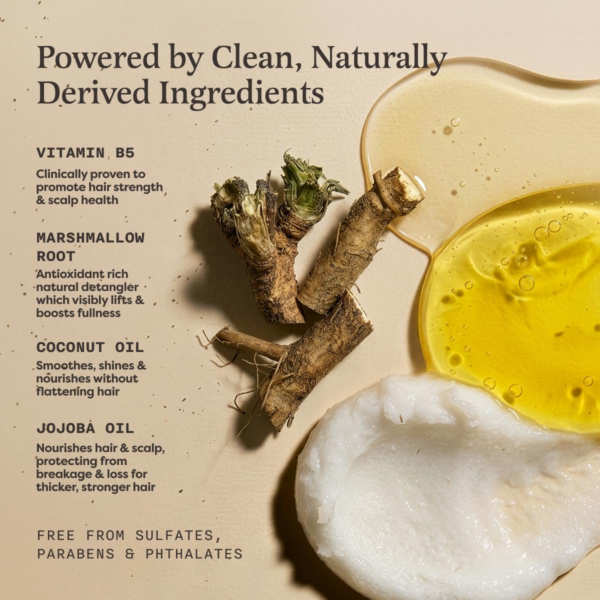 The Earthling Co Volumizing Shampoo & Conditioner Bar Set For Thickening, Fullness, Strength, and Growth - Sulfate, SIlicone, Paraben Free for Thin, Flat, Fine Hair - Made in USA (Sweet Sandalwood)