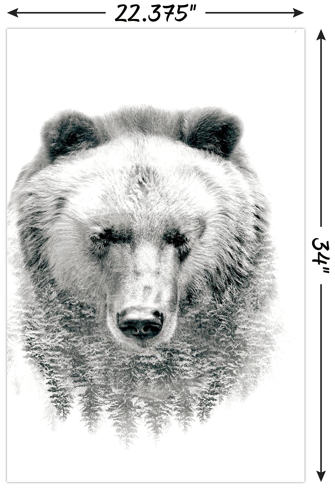 Trends International Bear - Trees Wall Poster, 22.375" x 34", Unframed Version