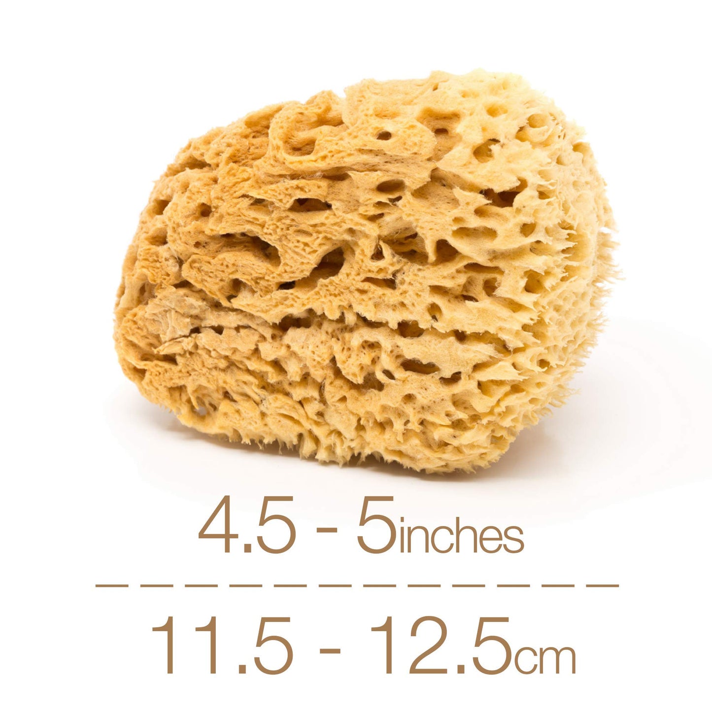BodyCare Sea Sponge, 11-12.5cm, Premium Quality, Honeycomb Sponge for The Most Sensitive and Delicate Skin. A Natural Unbleached, Sustainibly Harvested in Plastic-Free, Minimalist Packaging.